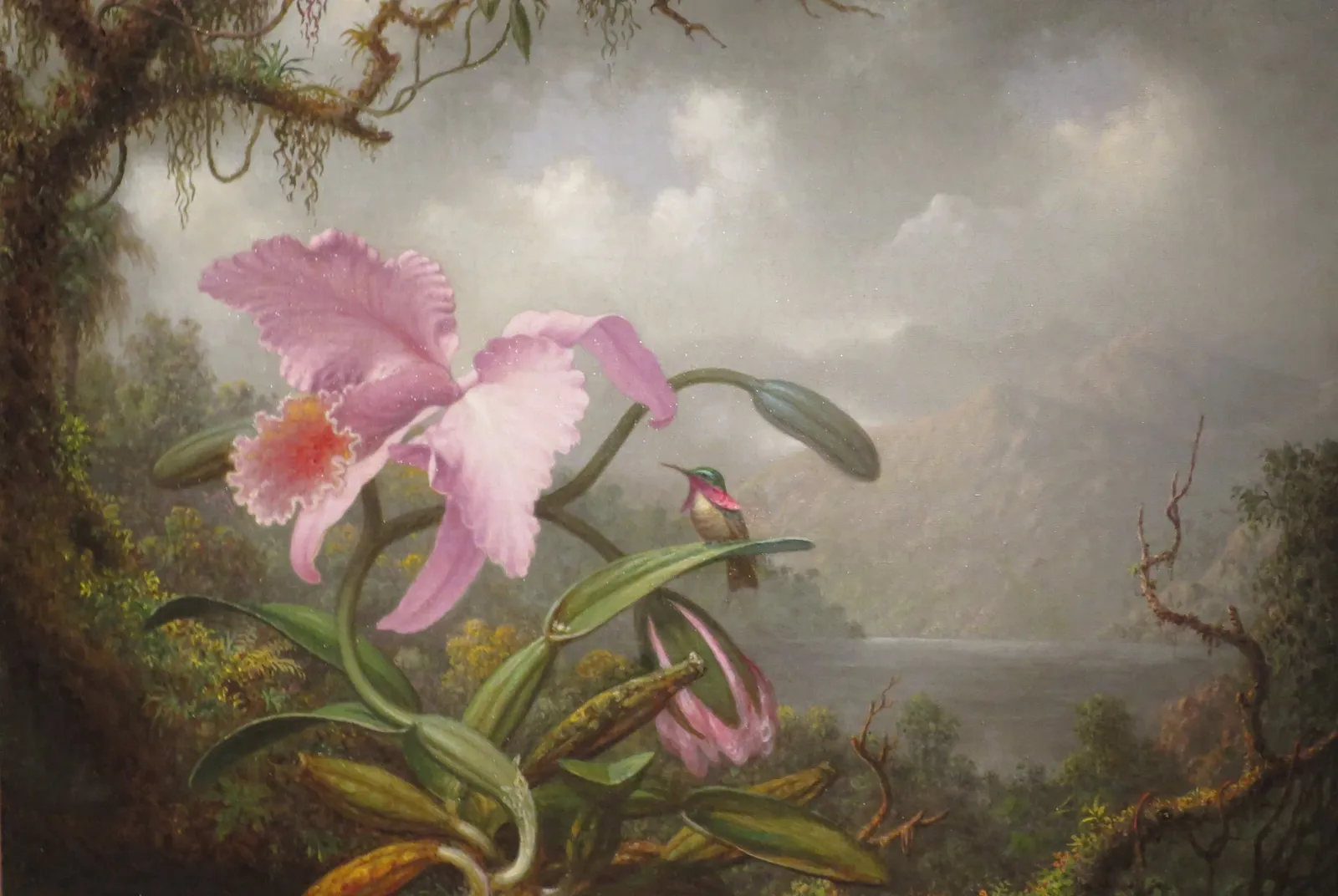 Orchid and Hummingbird – Martin Johnson Heade