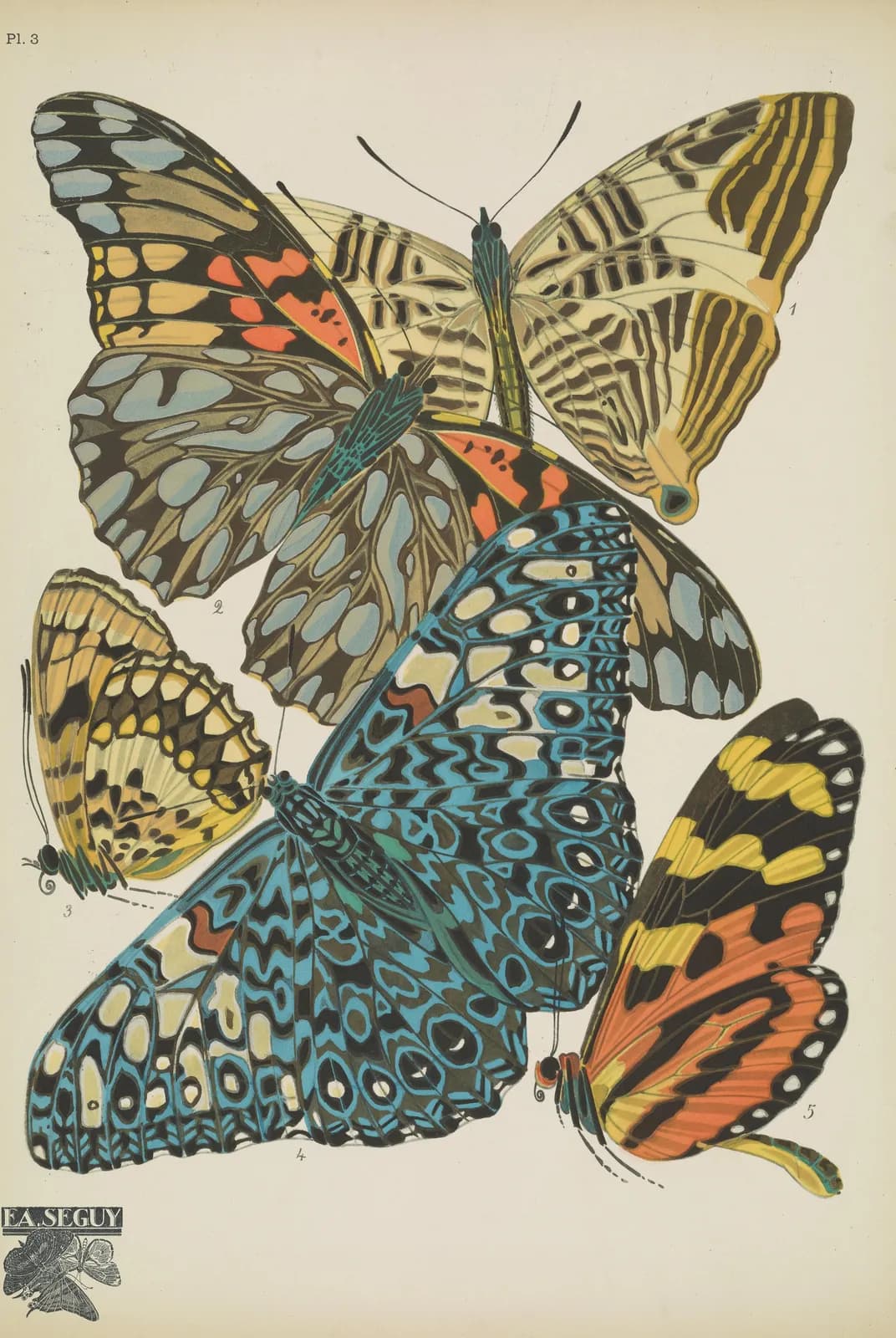 Papillons Pl. 03 (1920) – Emile-Allain Séguy