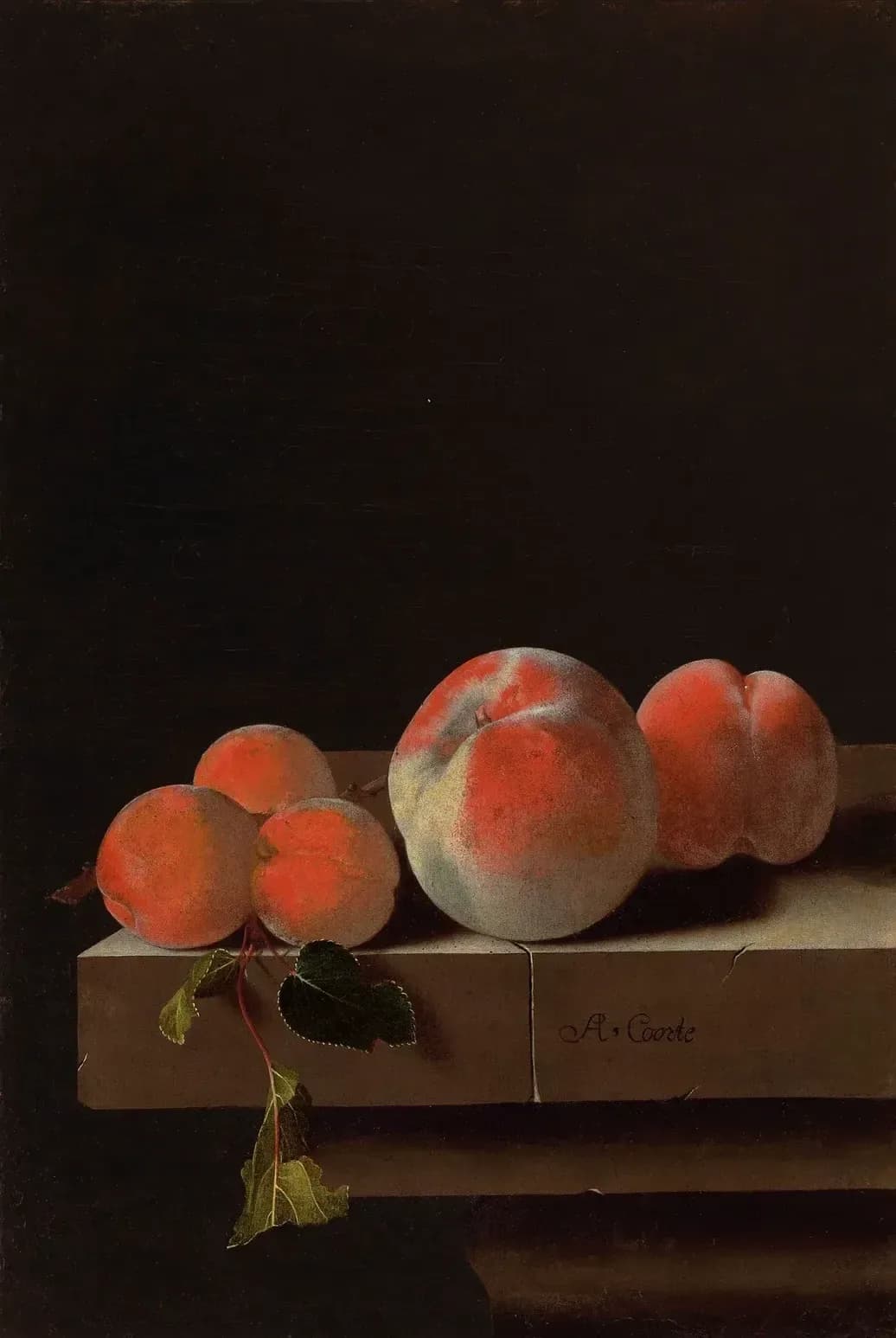 Perziken en abrikozen op een stenen richel – Adriaen Coorte
