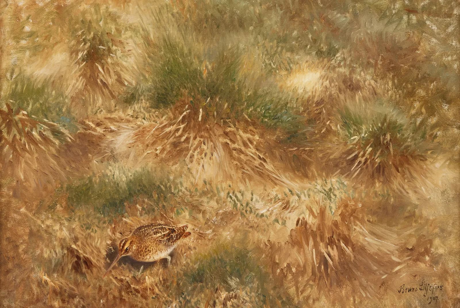 Poelsnip in een voorjaarslandschap – Bruno Liljefors