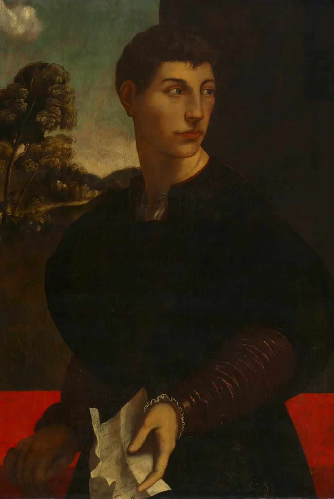 Portret van een jongeman – Dosso Dossi