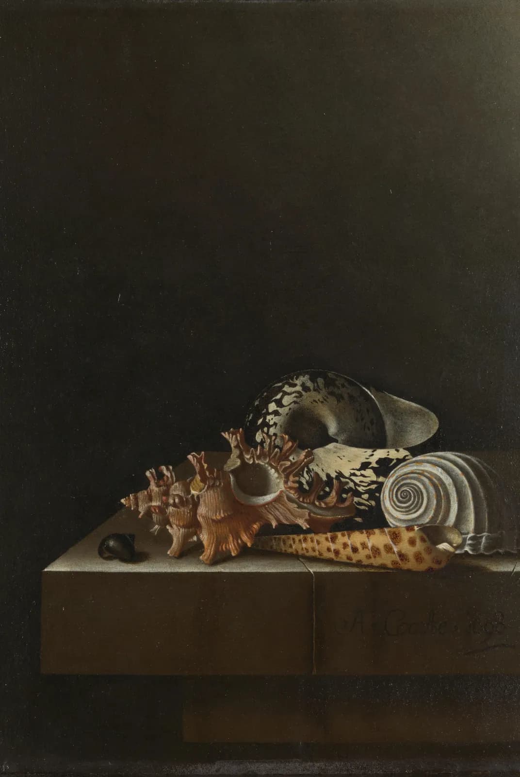 Schelpen op een stenen plint – Adriaen Coorte
