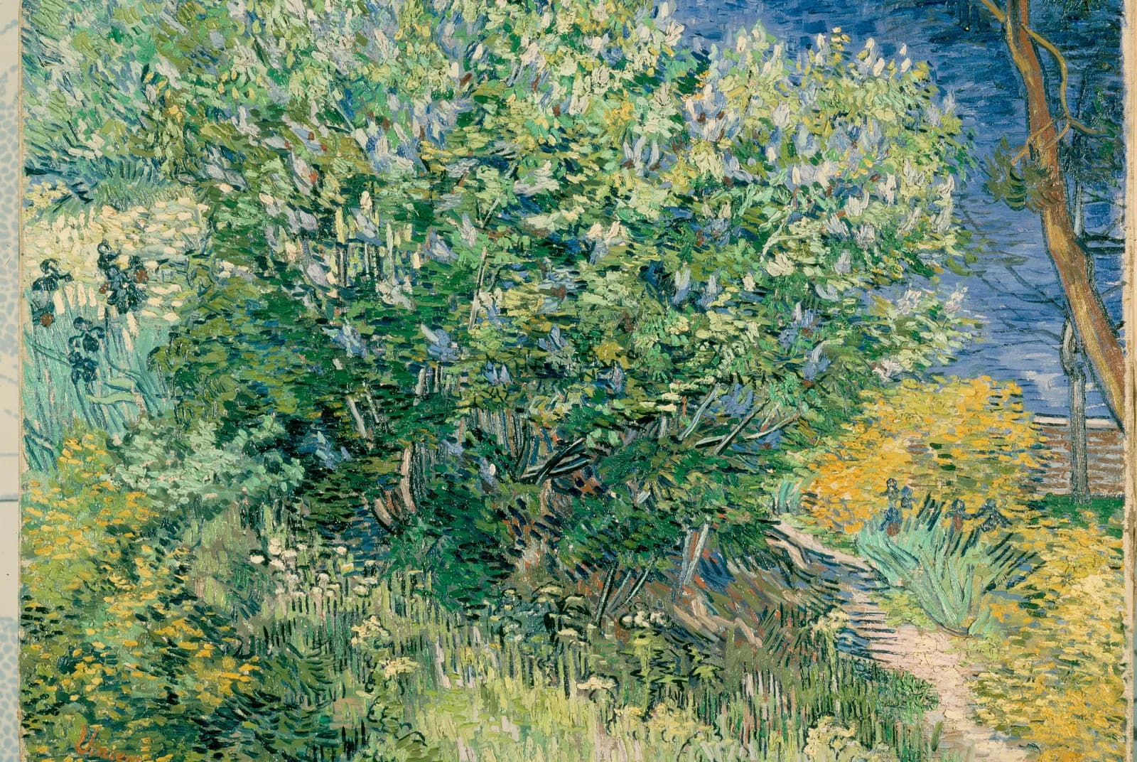 Seringenstruik – Vincent van Gogh