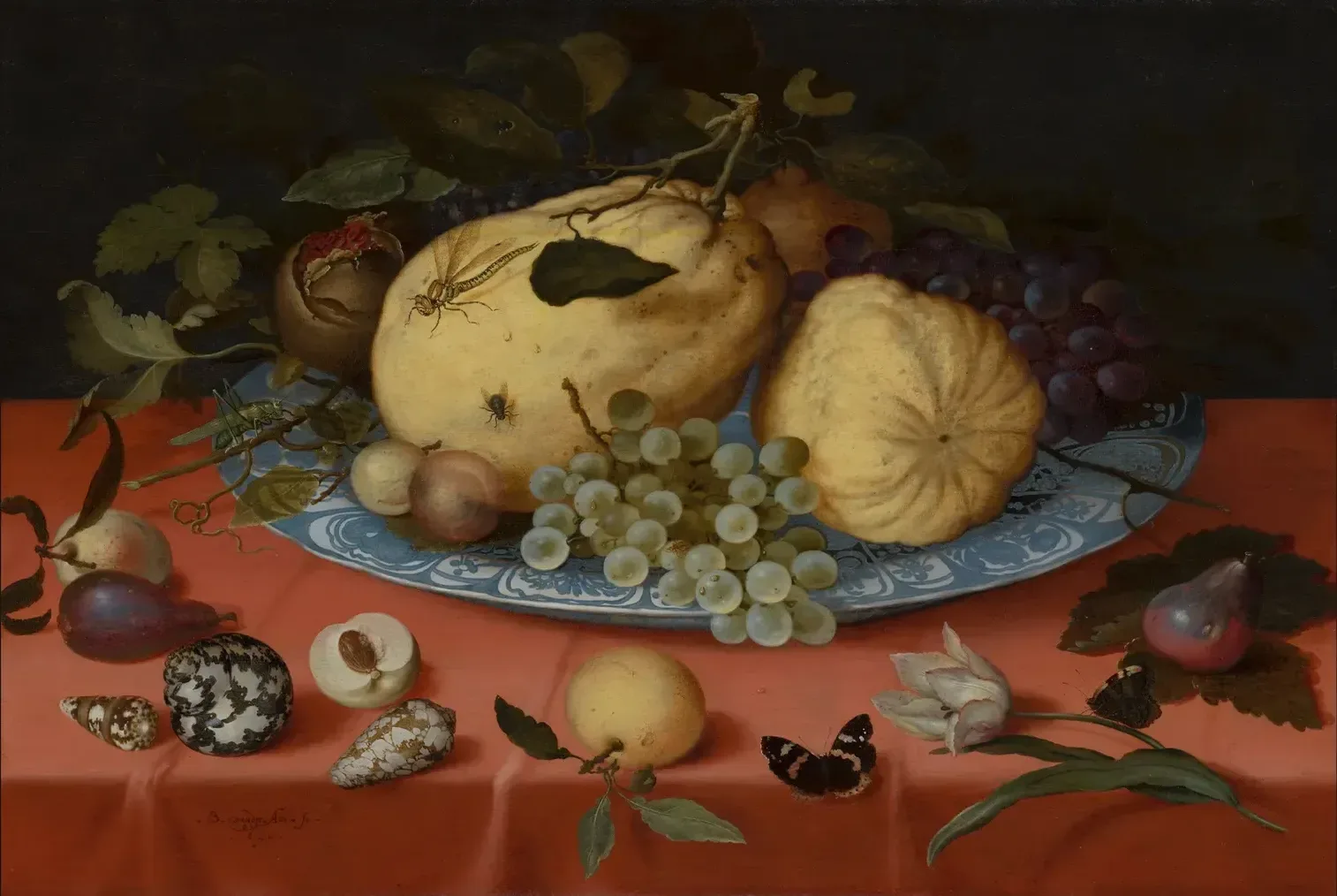 Stilleven met fruit, schelpen en een tulp – Balthasar van der Ast