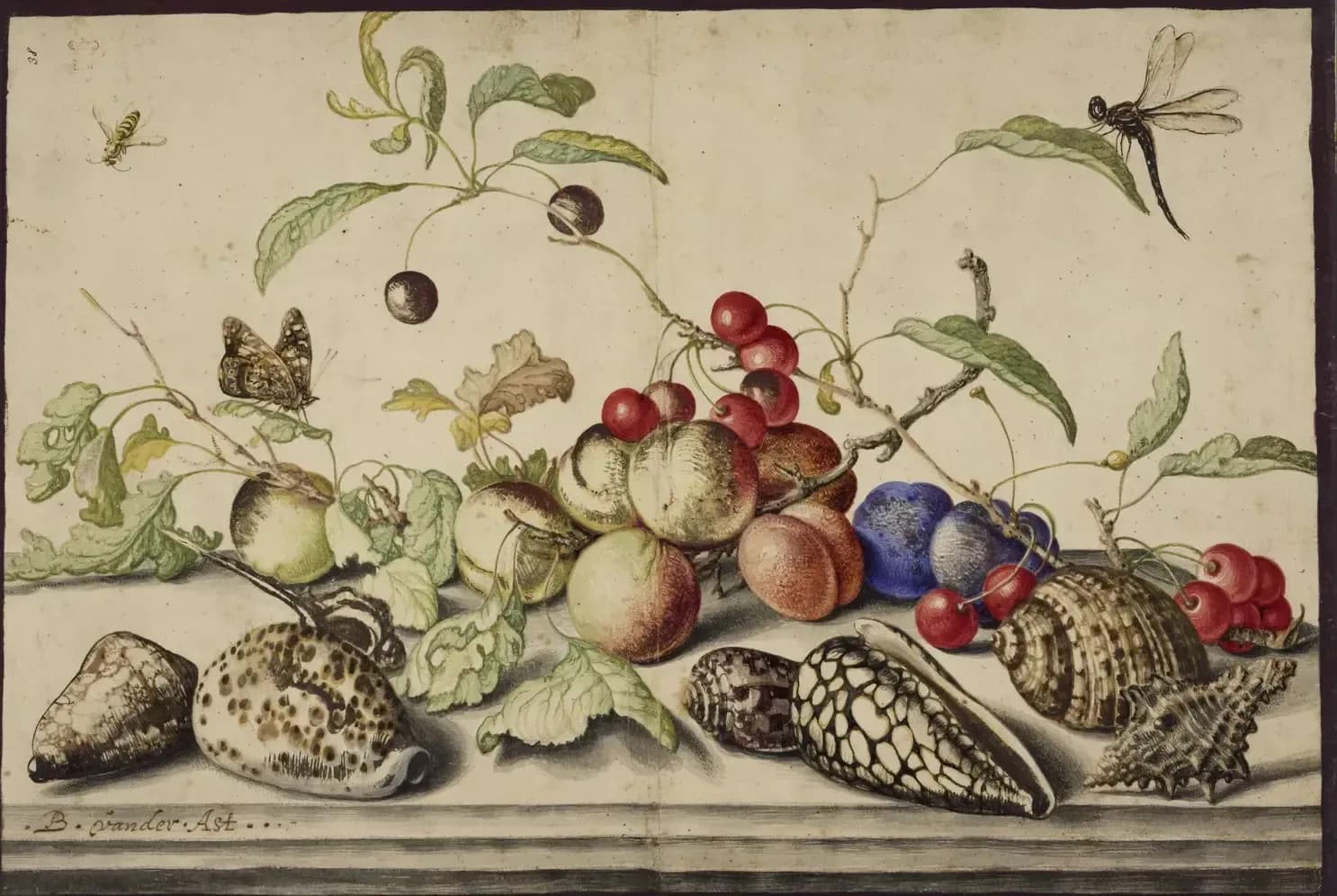 Stilleven met vruchten en schelpen – Balthasar van der Ast