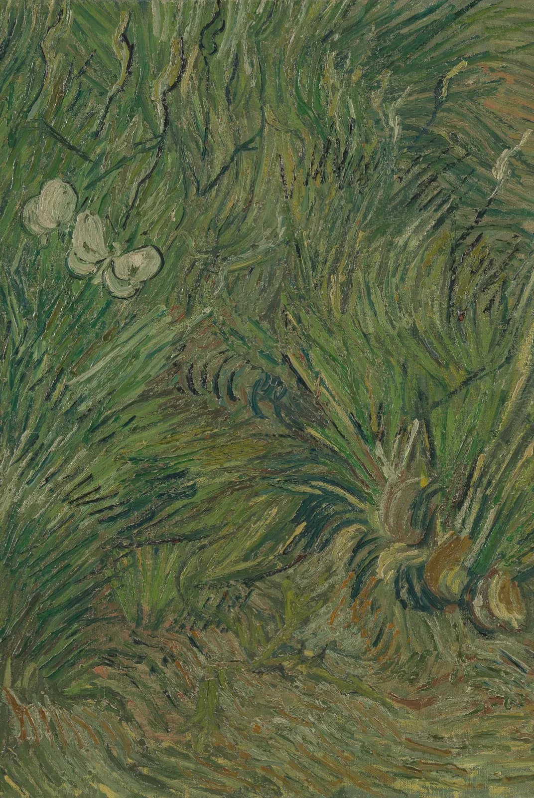 Tuin met vlinders – Vincent van Gogh