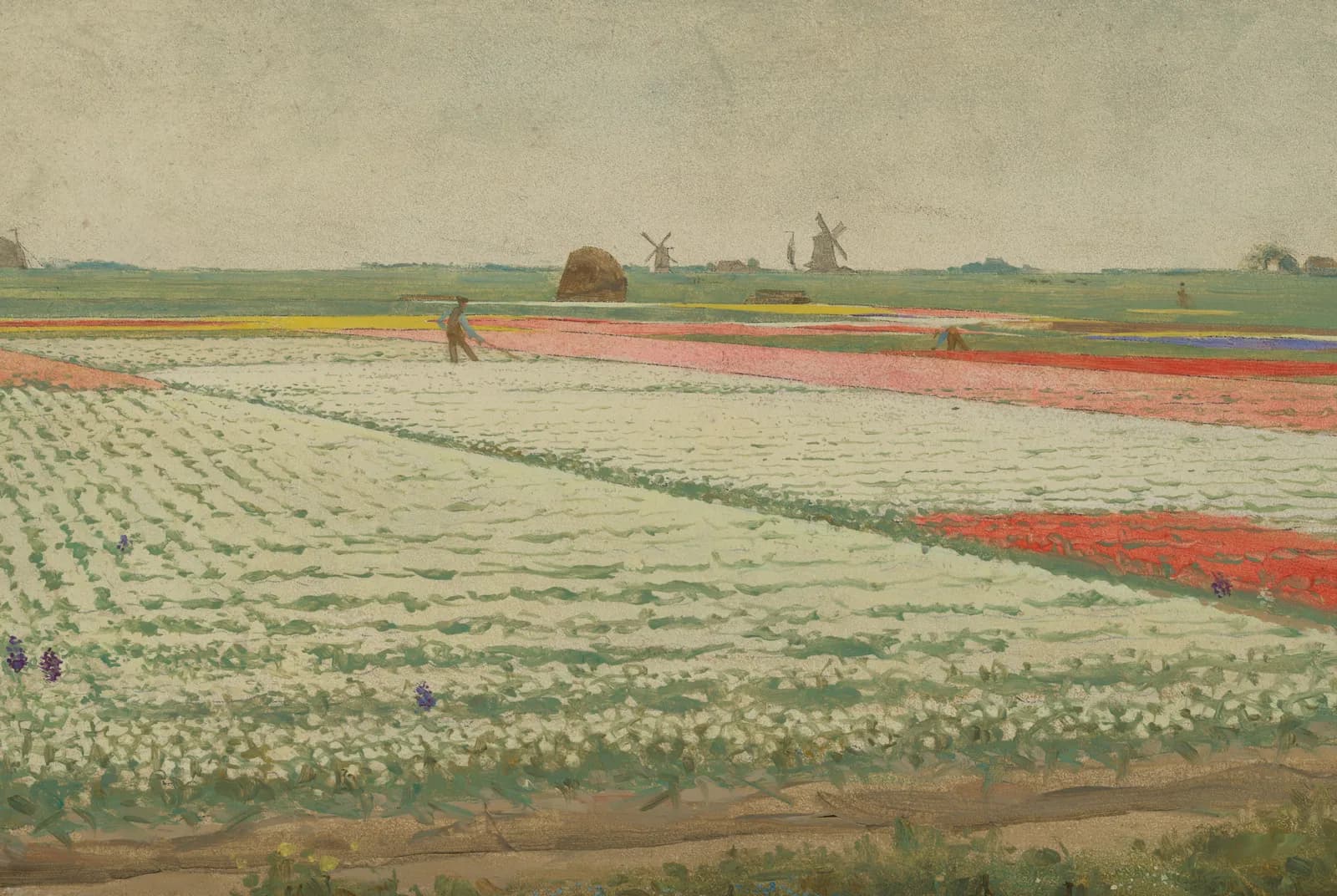 Tulpenvelden – Dijsselhof