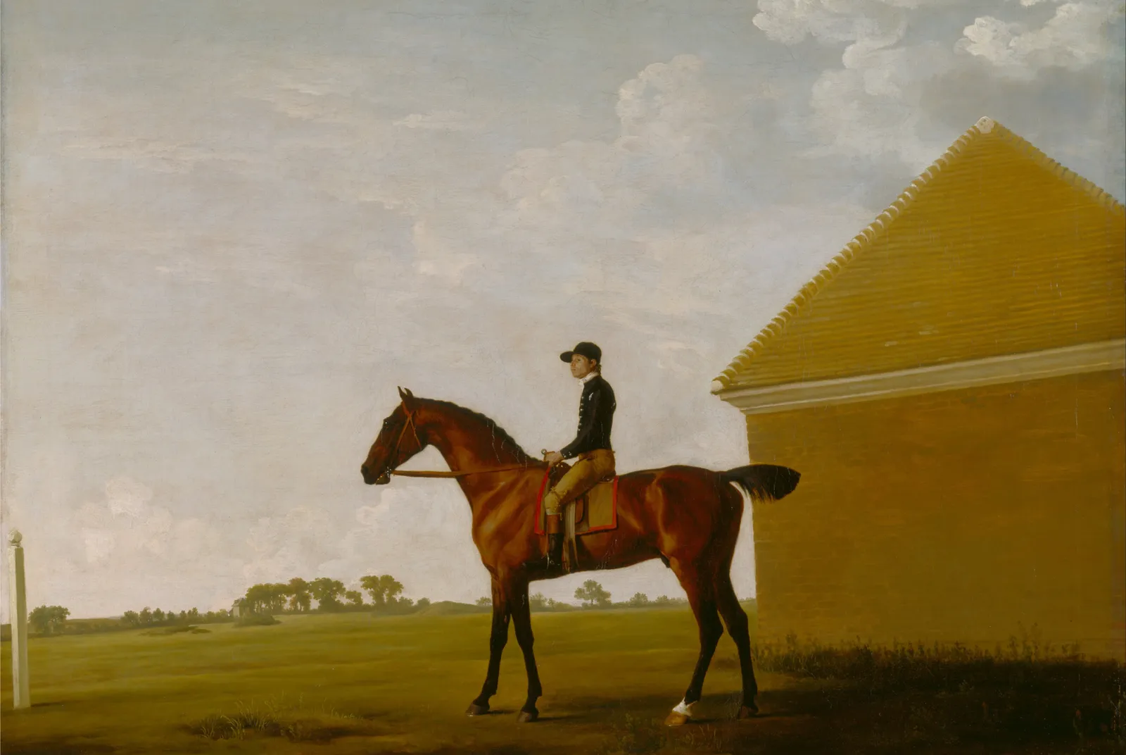 Turf, renpaard met jockey op Newmarket Heath – George Stubbs