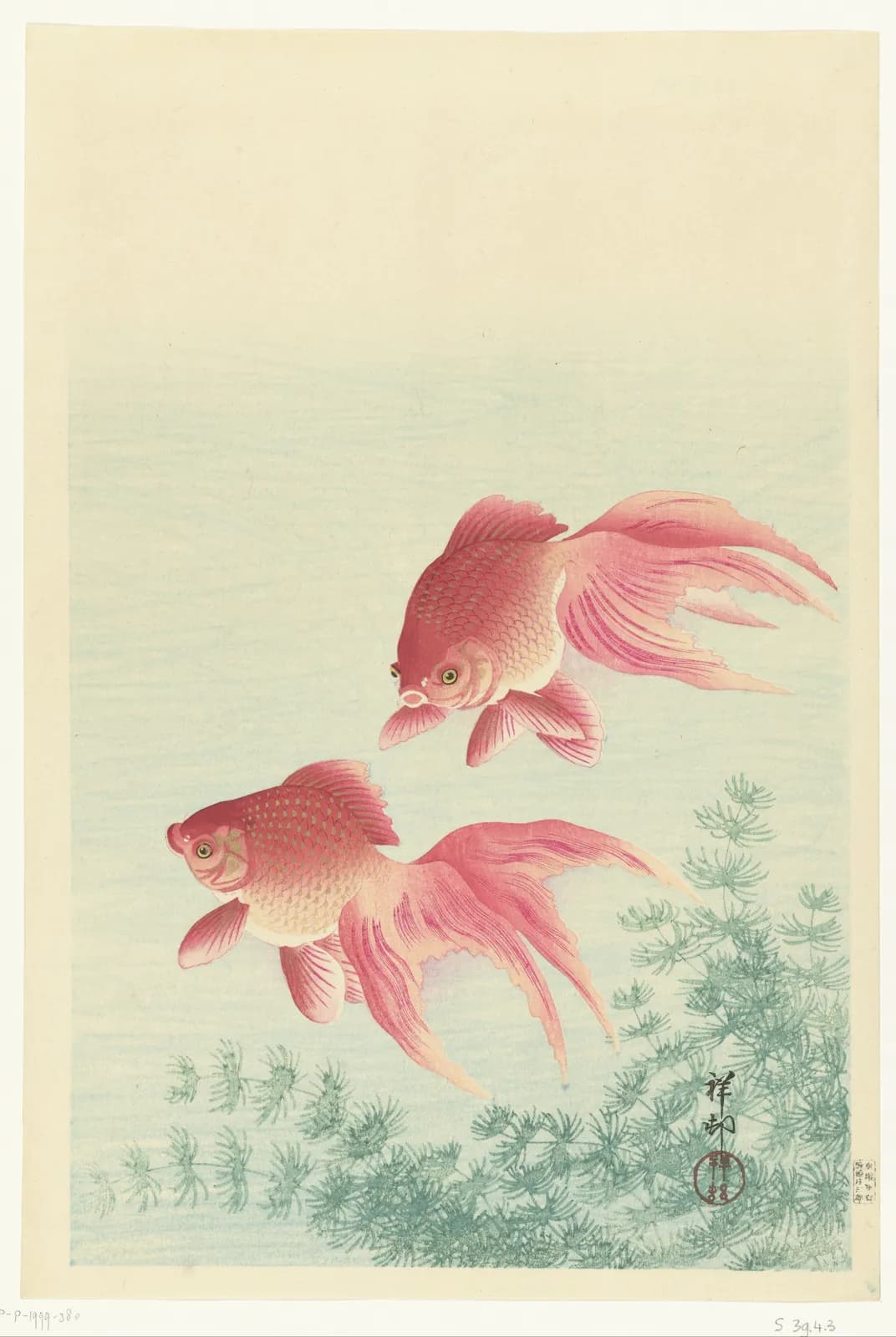 Twee sluierstaartgoudvissen – Ohara Koson