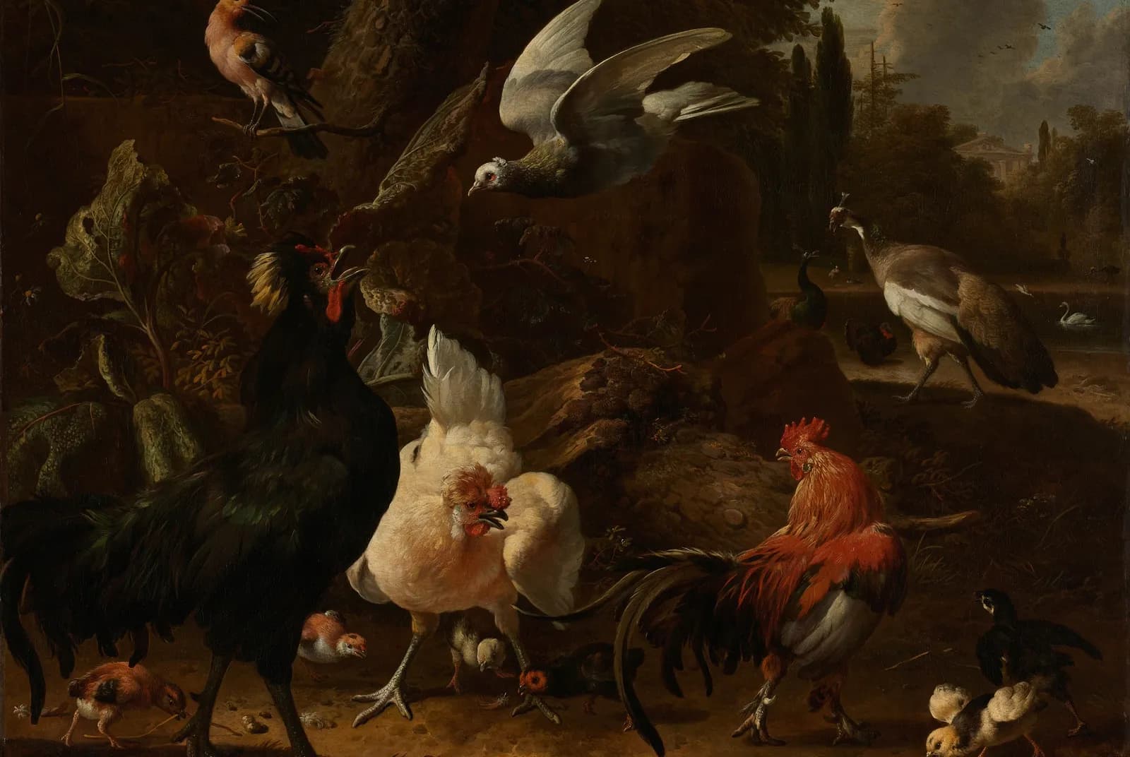 Vogels in een park – Melchior d'Hondecoeter