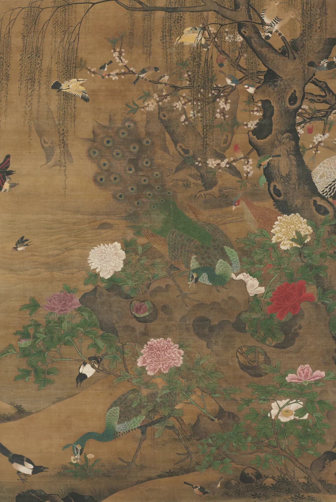 Vogels verzamelen zich onder de wilg in het voorjaar – Yin Hong