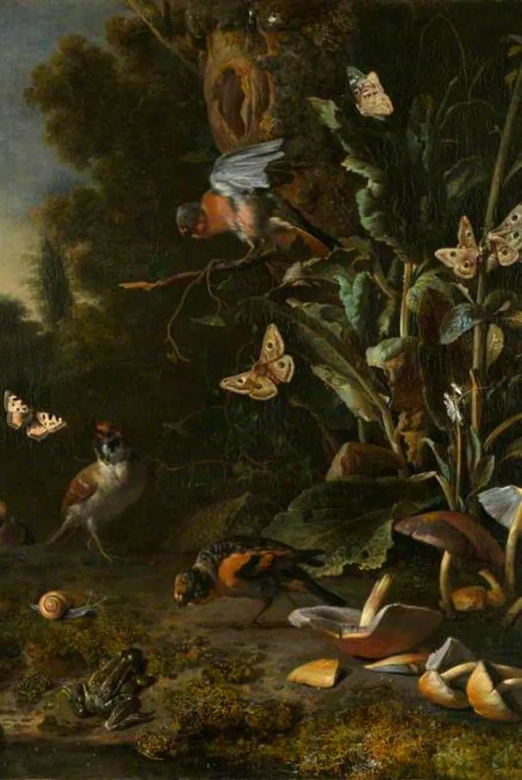 Vogels, vlinders en een kikker – Melchior d'Hondecoeter