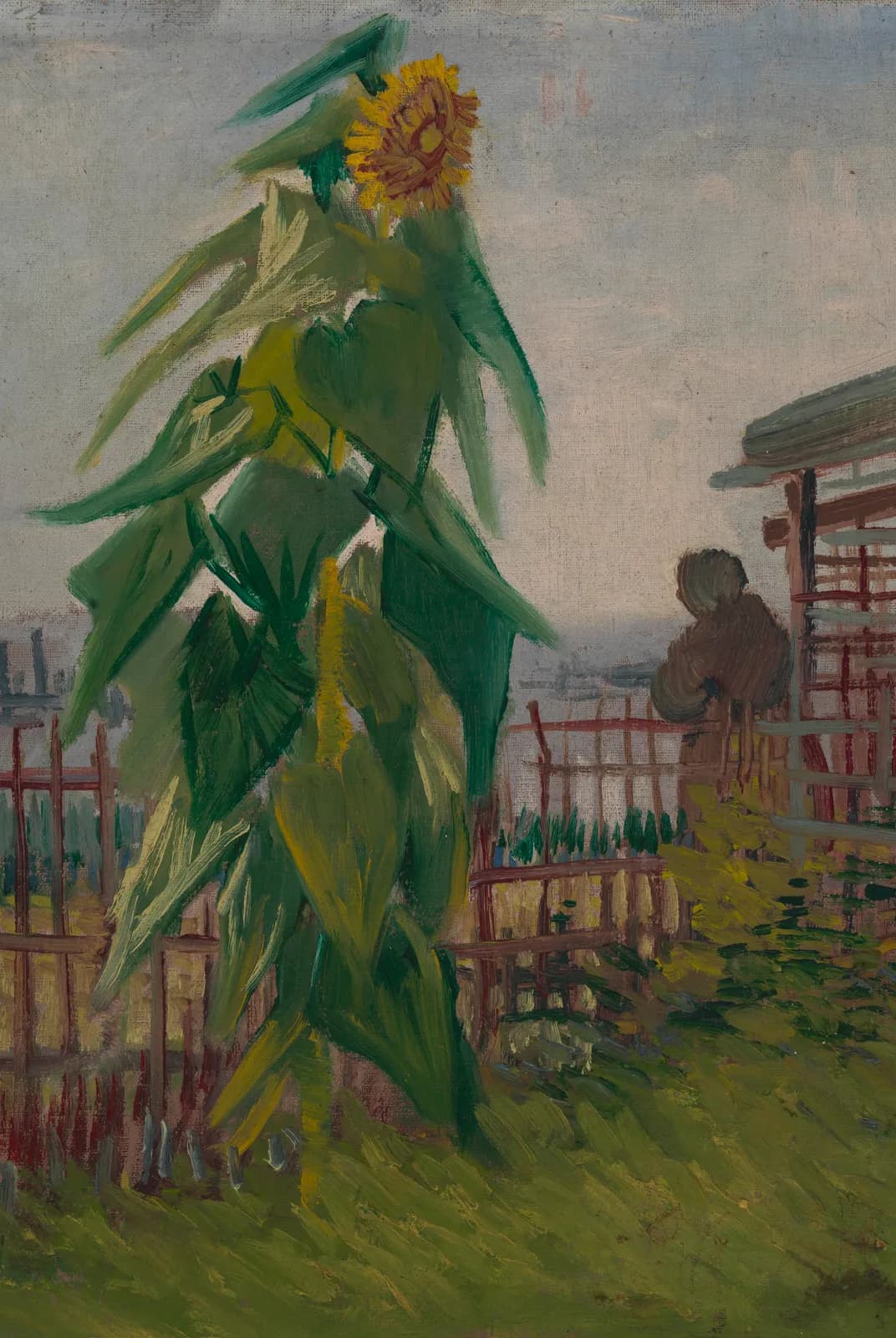 Volkstuin met zonnebloem – Vincent van Gogh