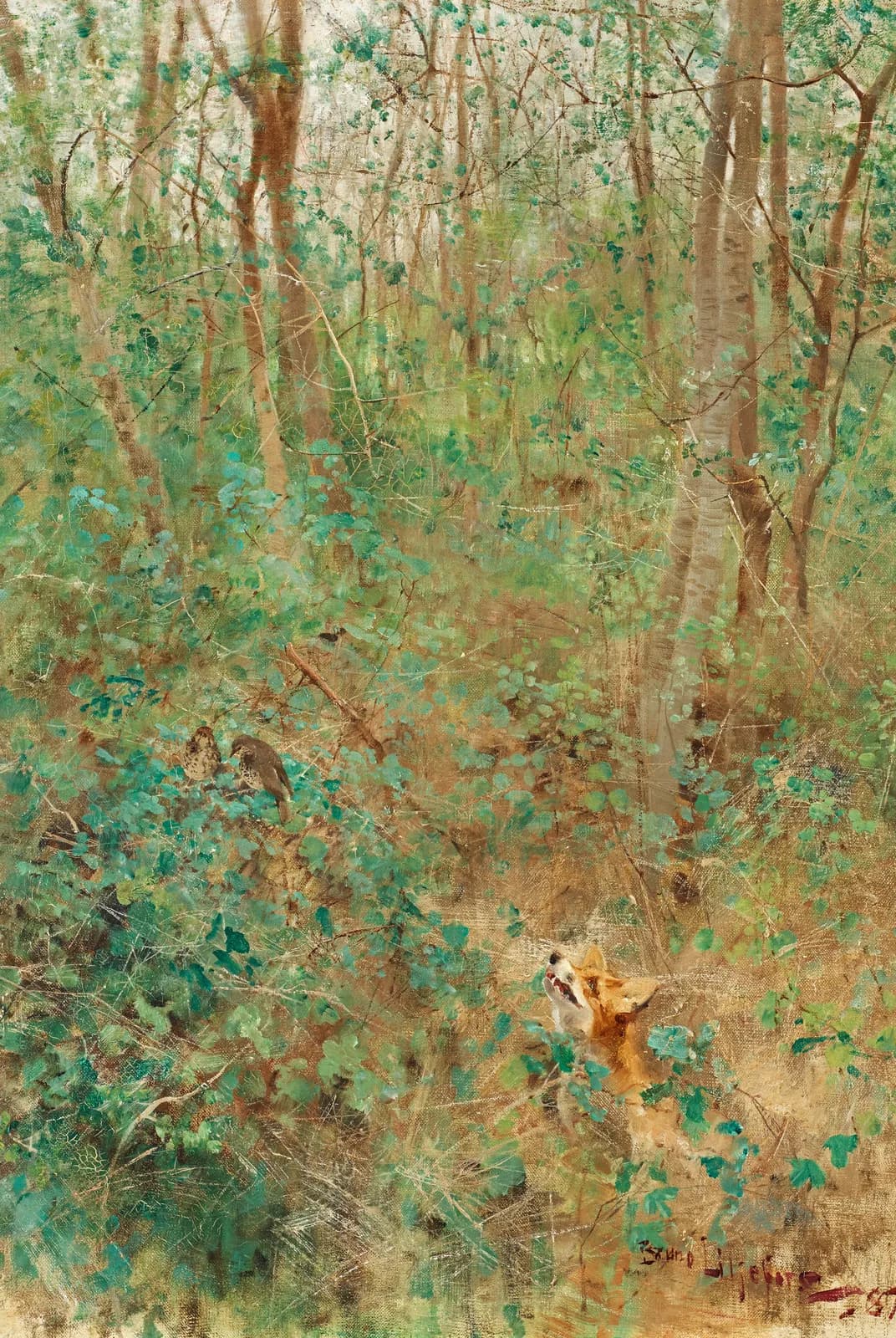 Vos loert op lijsters – Bruno Liljefors