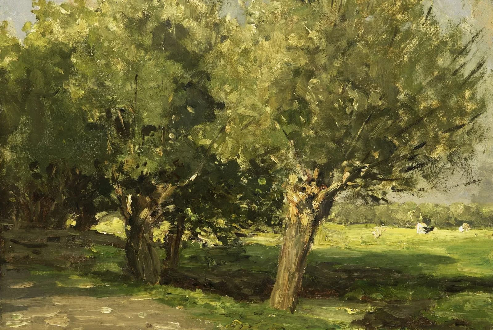 Wilgebomen – Willem Roelofs