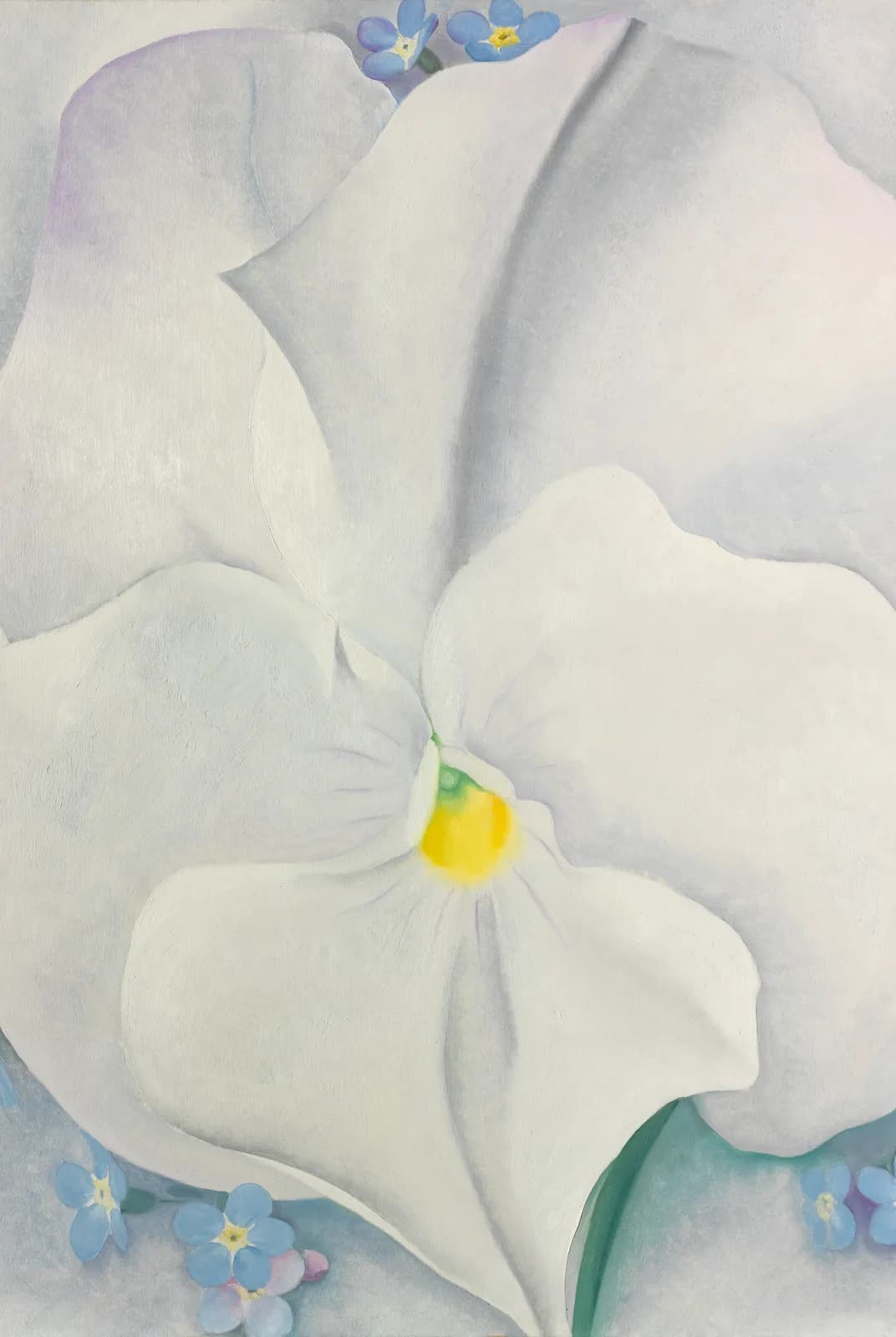Wit viooltje – Georgia O'Keeffe