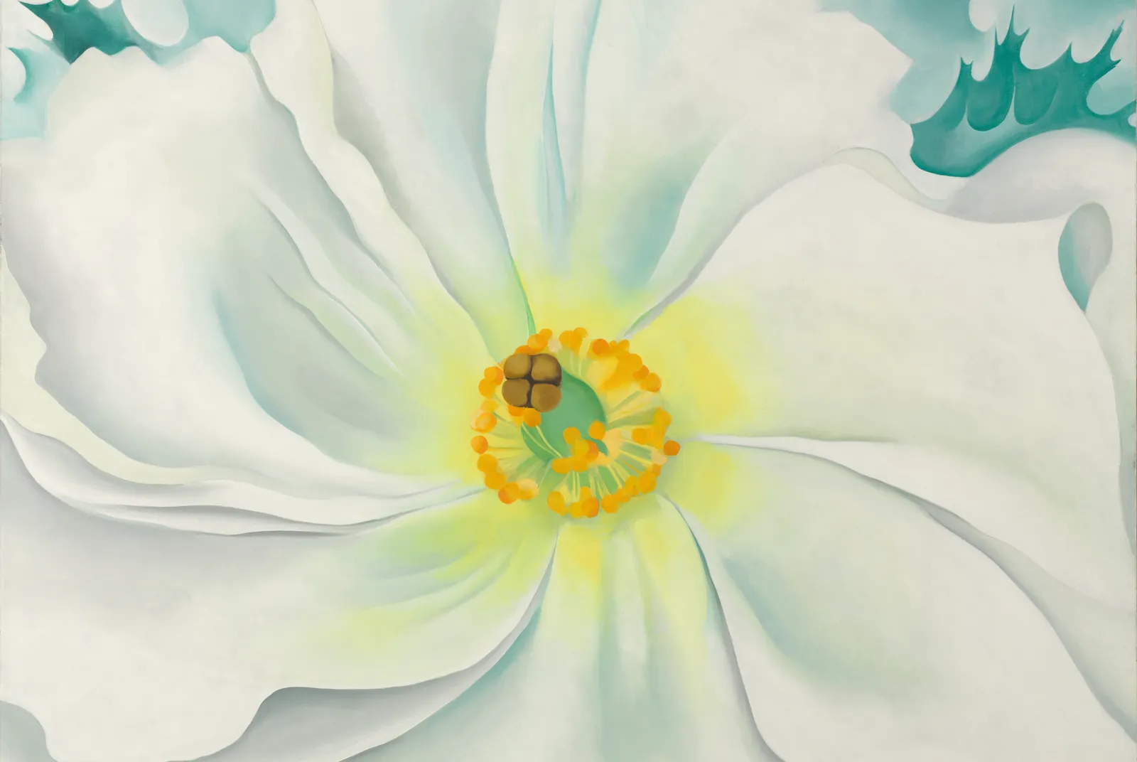 Witte bloem – Georgia O'Keeffe