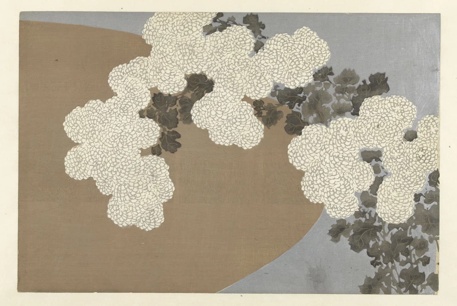 Witte chrysanten in bloei – Kamisaka Sekka