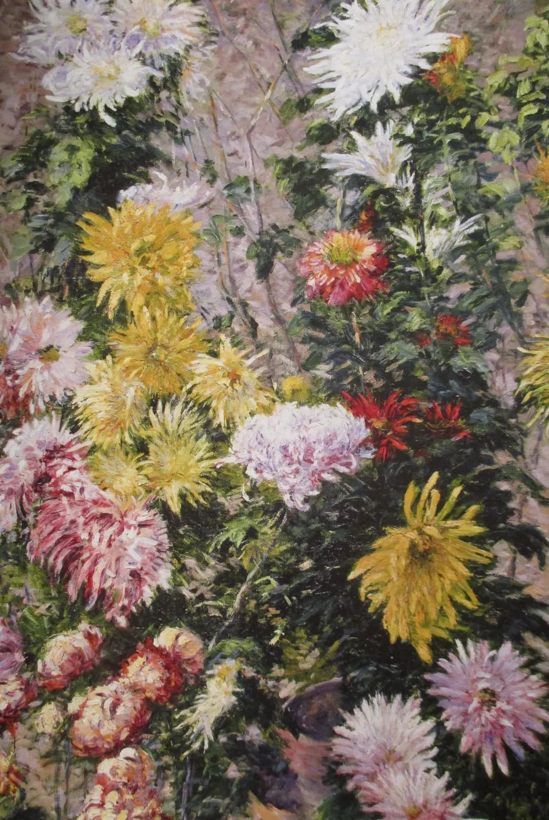 Witte en gele chrysanten – Gustave Caillebotte