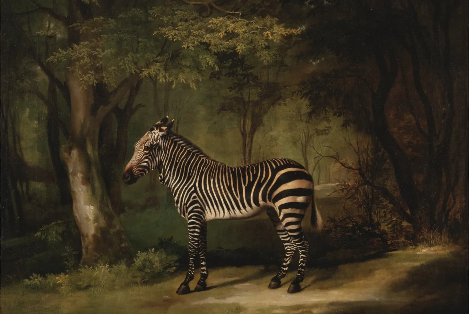Zebra, portret van een exotisch dier – George Stubbs