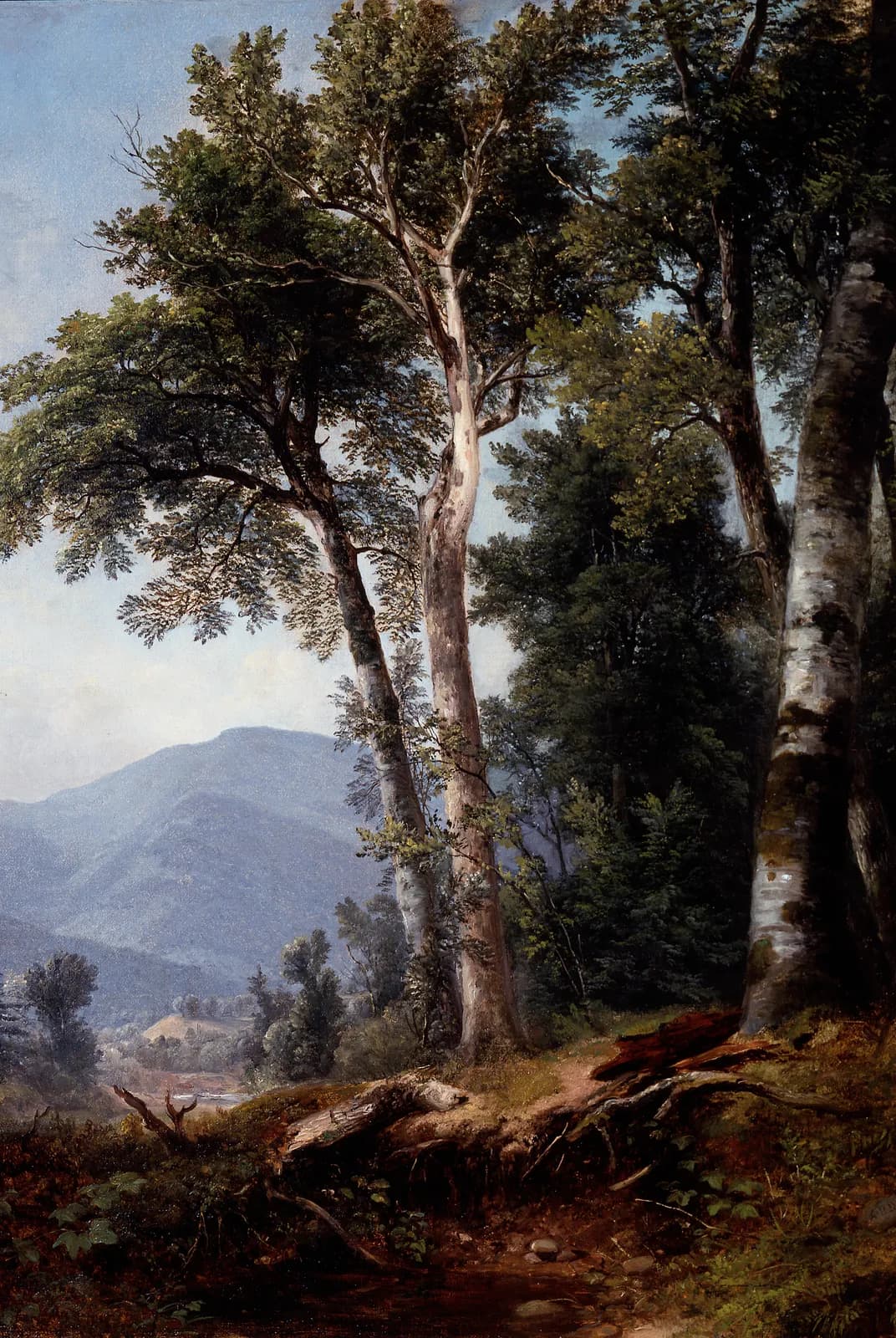 Zonnig bospad – Asher Brown Durand