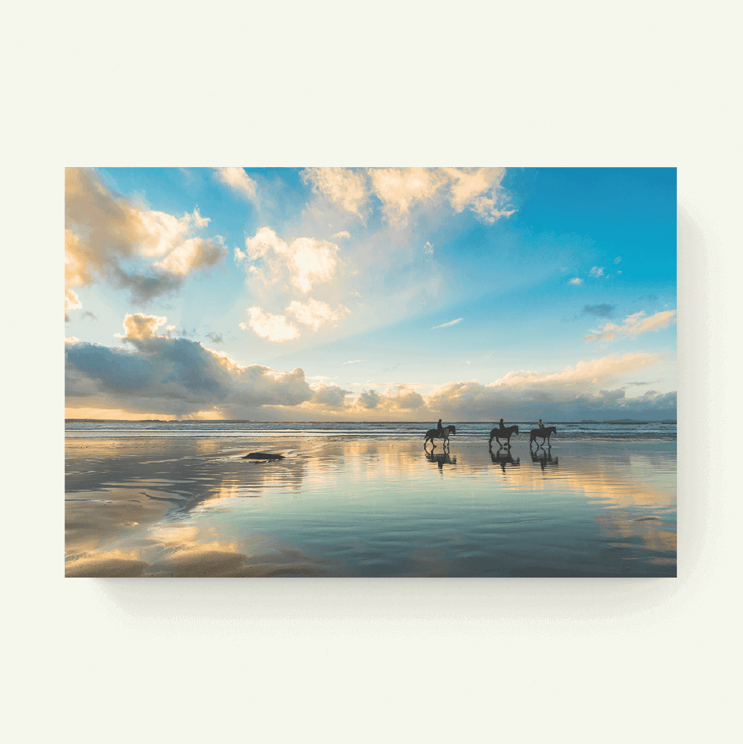Paarden aan zee