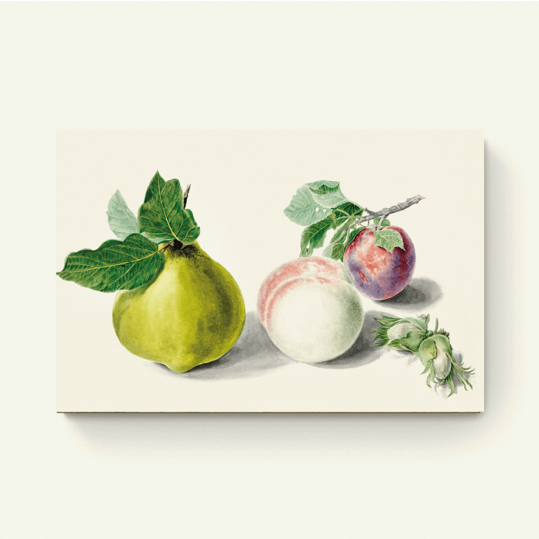Peer en pruim – Elisabeth Geertruida van de Kasteele