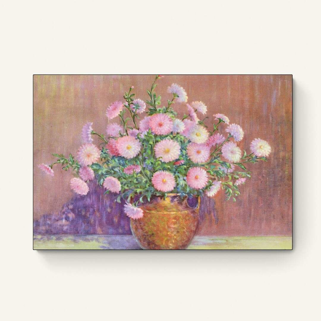 Pompon Chrysant