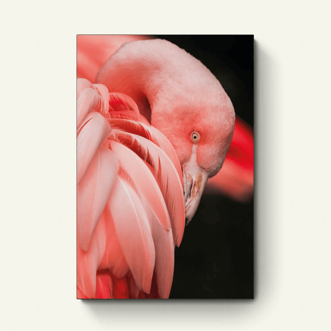 Roze Flamingo