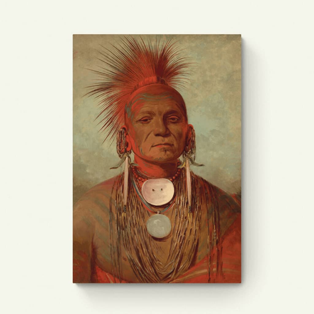 See-non-ty-a – George Catlin
