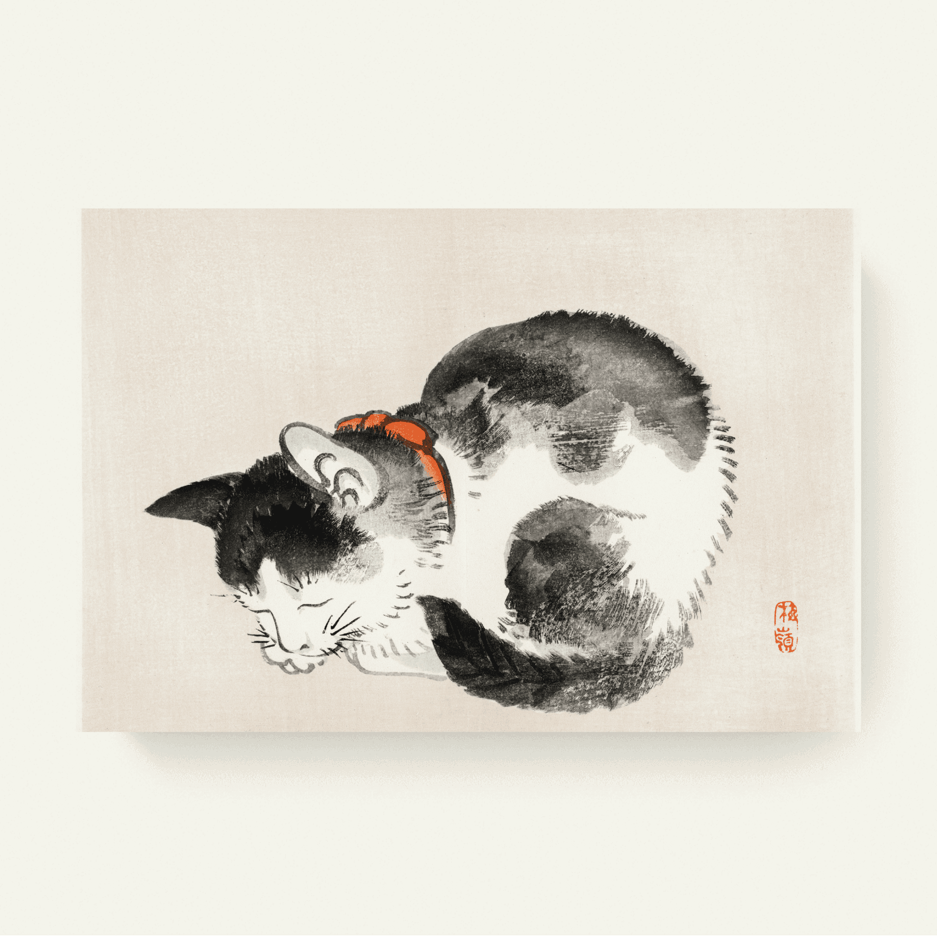 Slapende kat