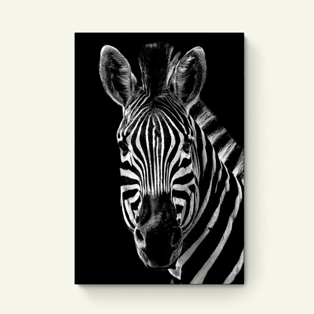 Stijlvolle Zebra