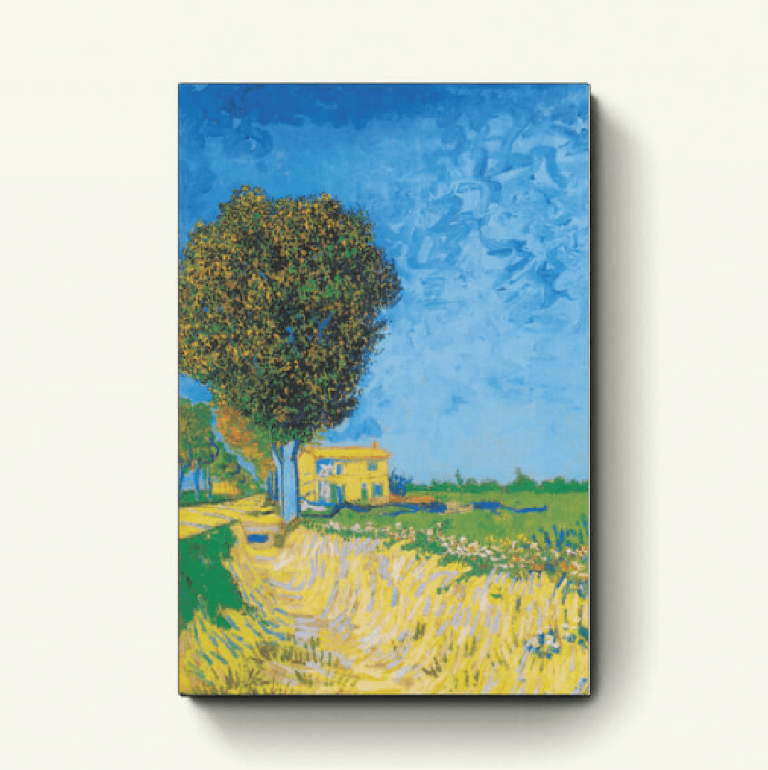 Straat bij Arles – Vincent van Gogh