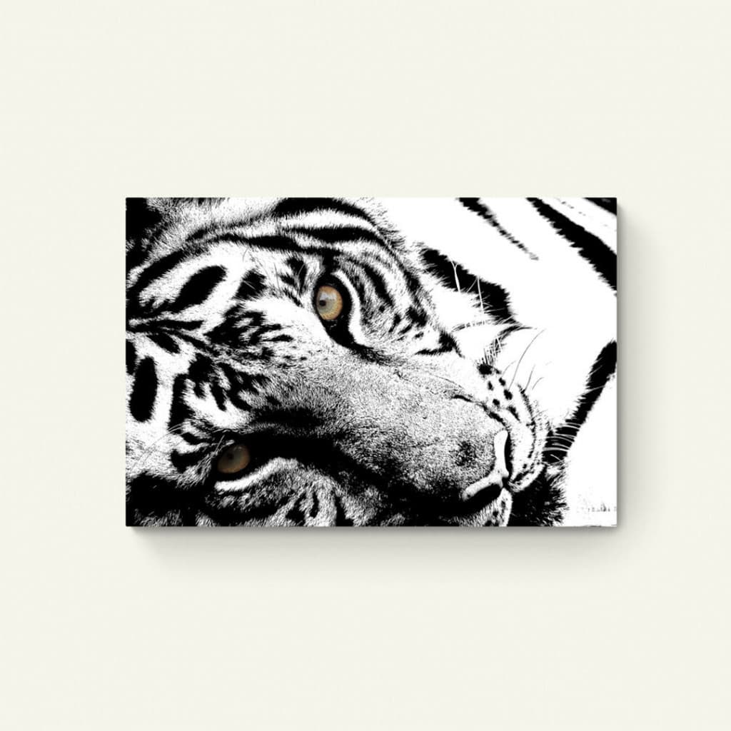 Tijger zwart-wit