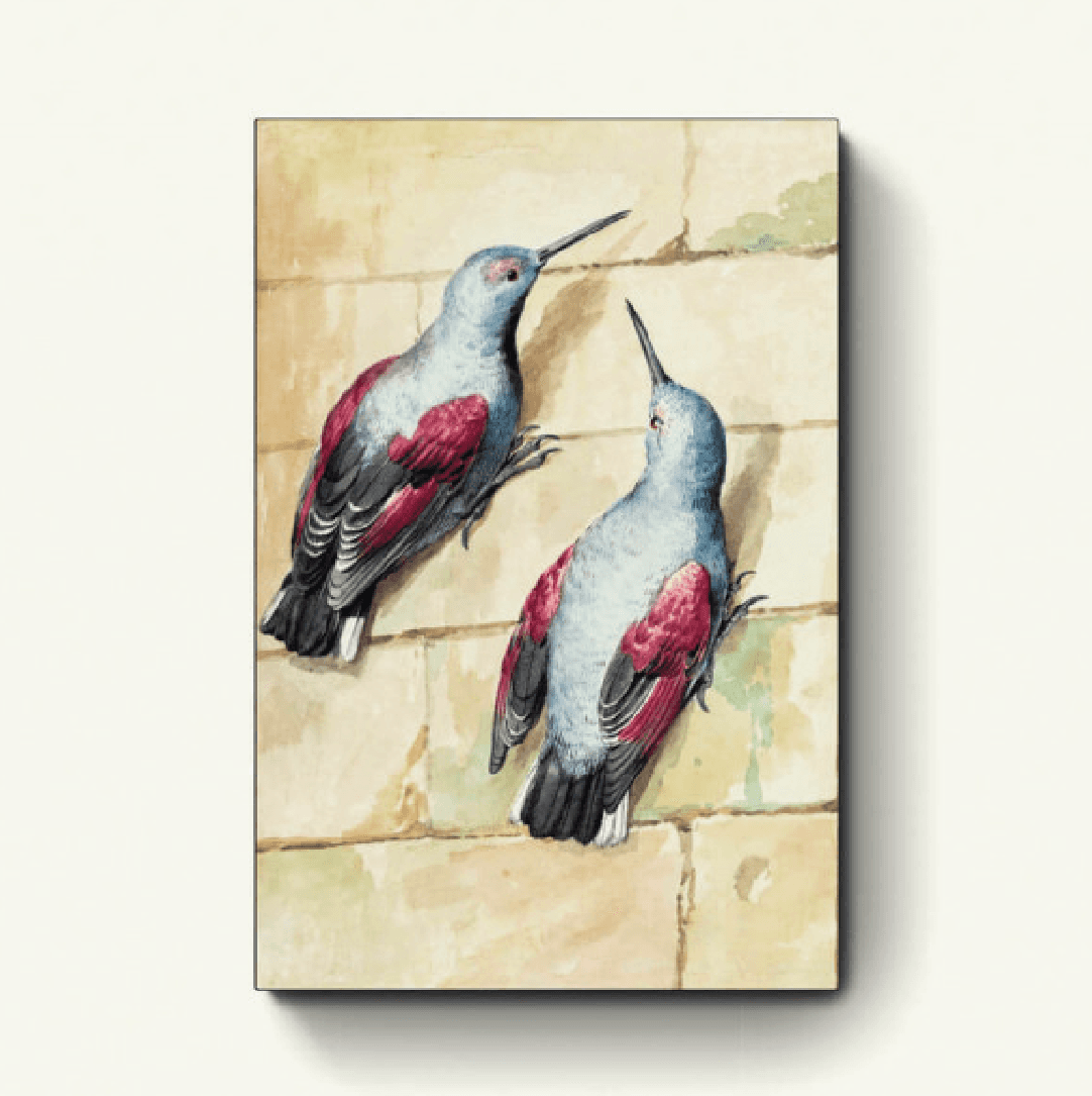 Twee muurkruipers – Aert Schouman