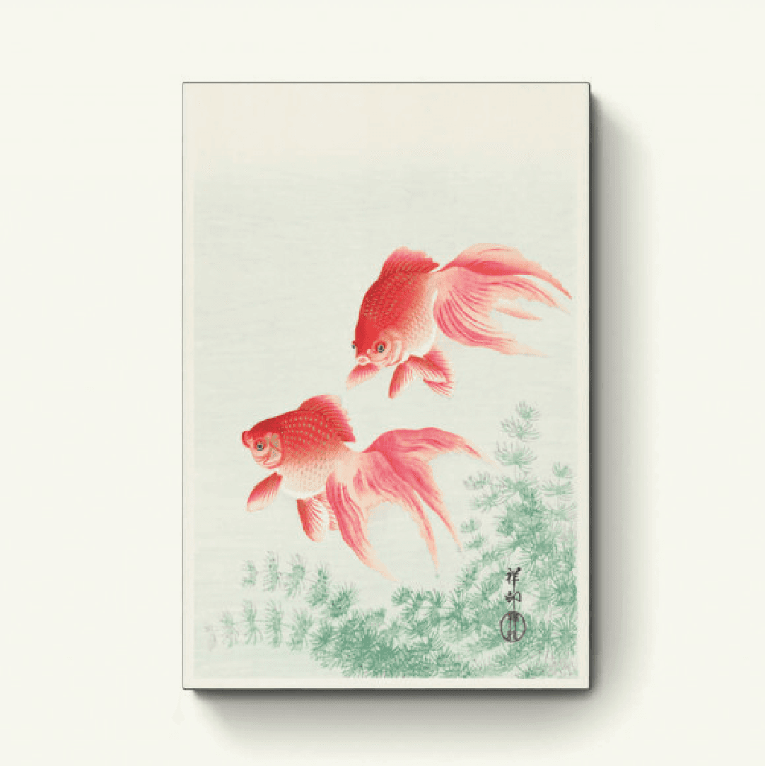 Twee Sluierstaart Goudvissen – Ohara Koson