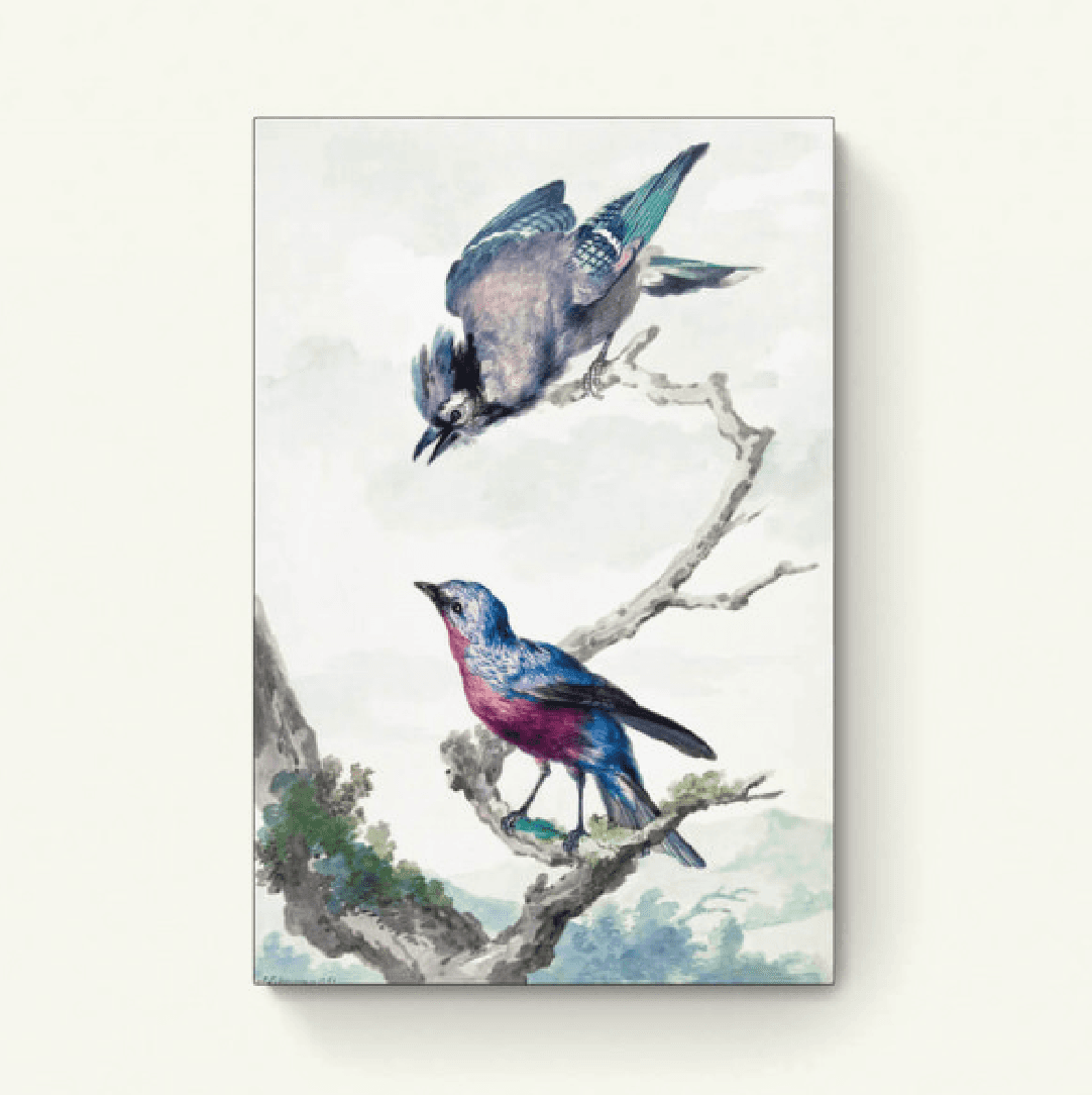 Twee vogels: een blauwe gaai en een paarse borstkas – Aert Schouman