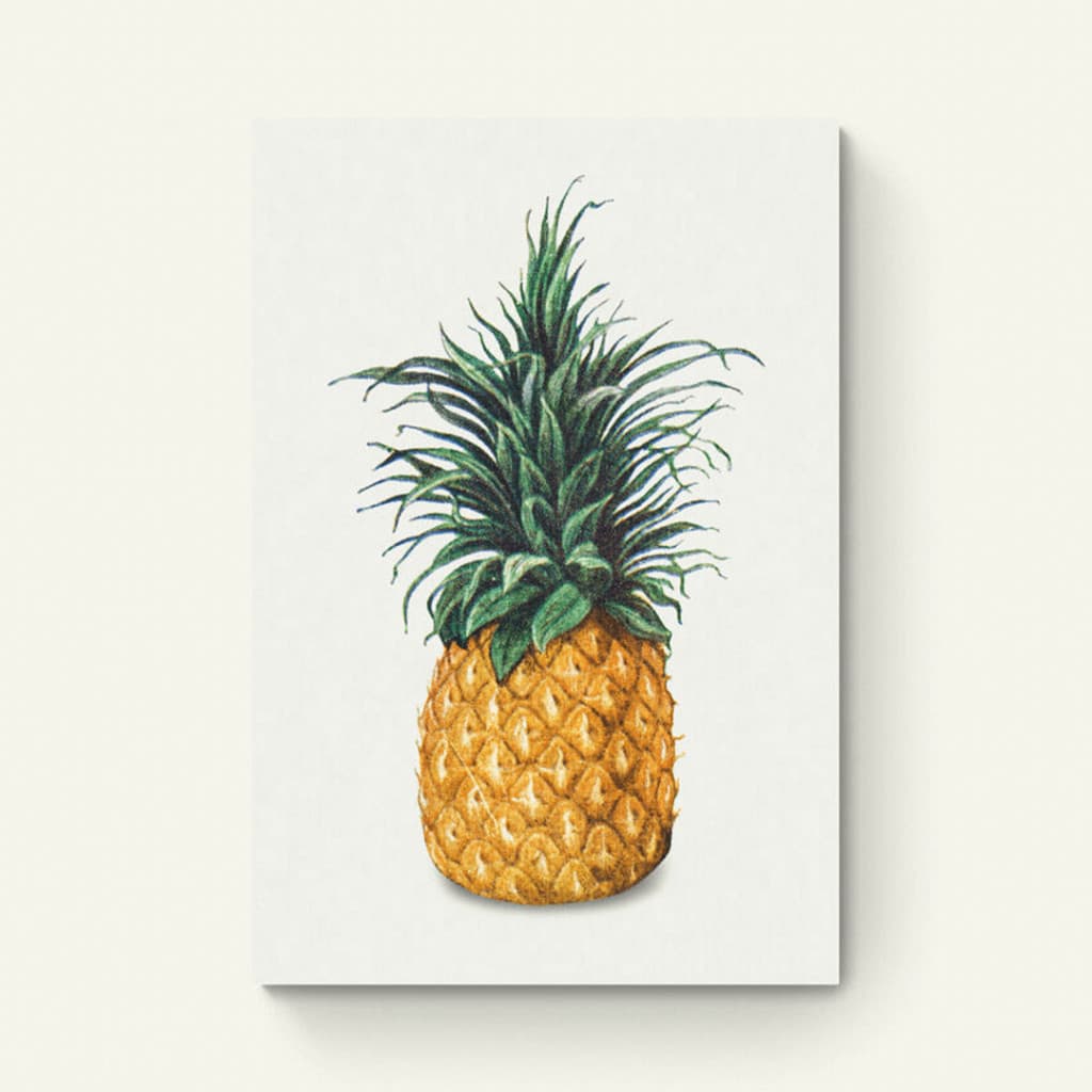 Vintage ananas