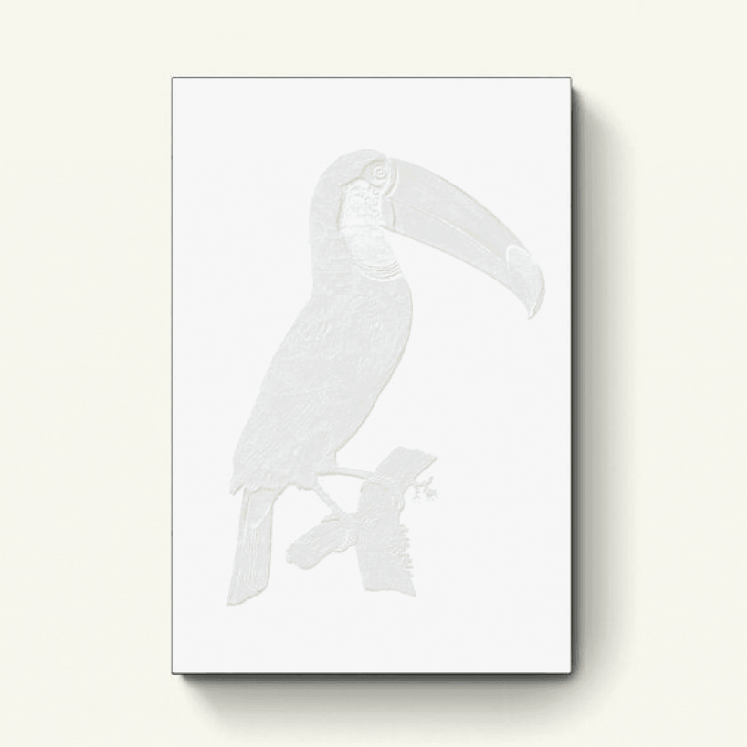 Vintage toco Tucan