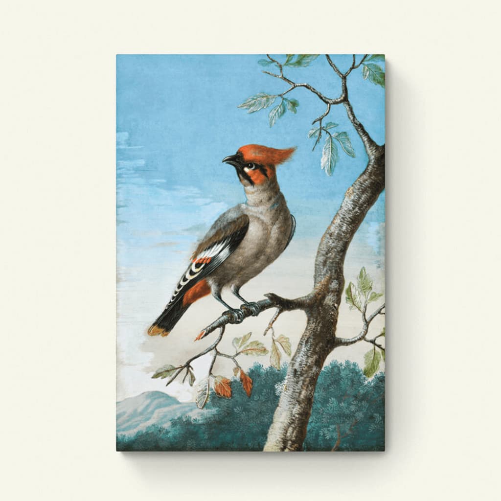 Vogelstudie