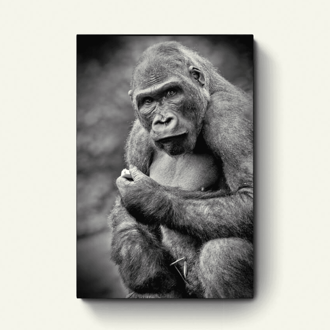 Vrouwelijke gorilla