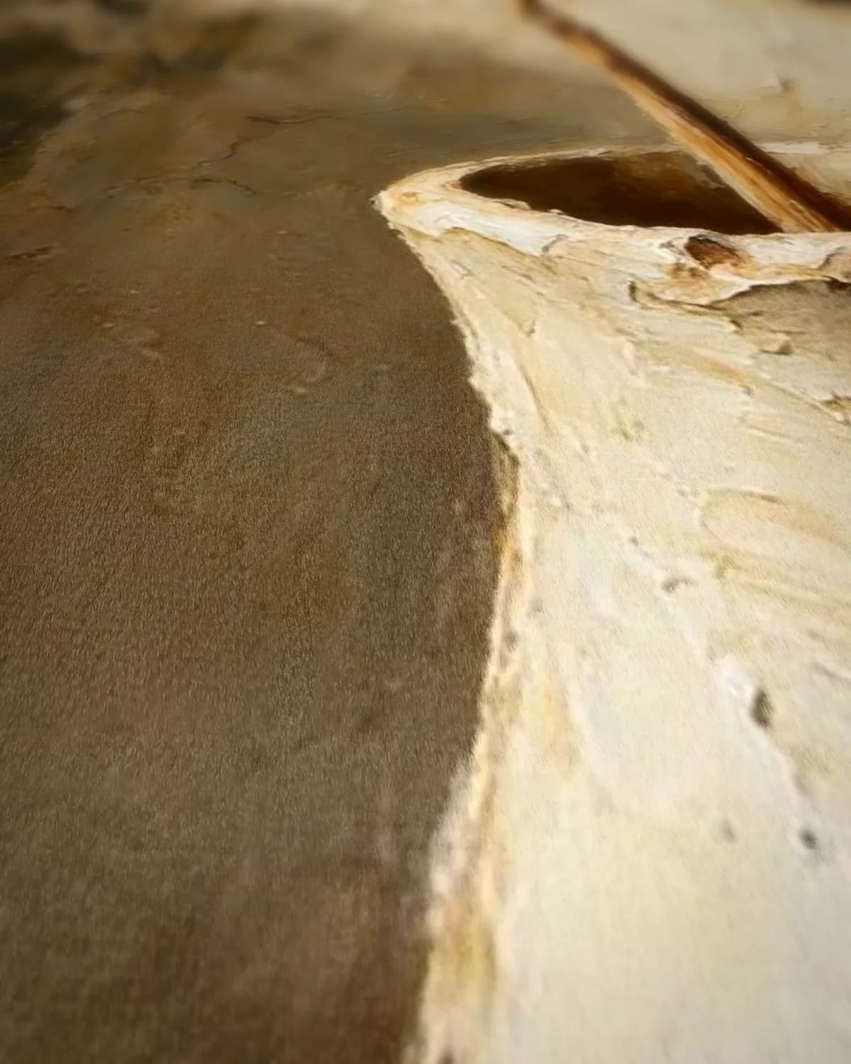 Alliumbol in een vaas op geweven fluweel, uitsnede 1 van 3