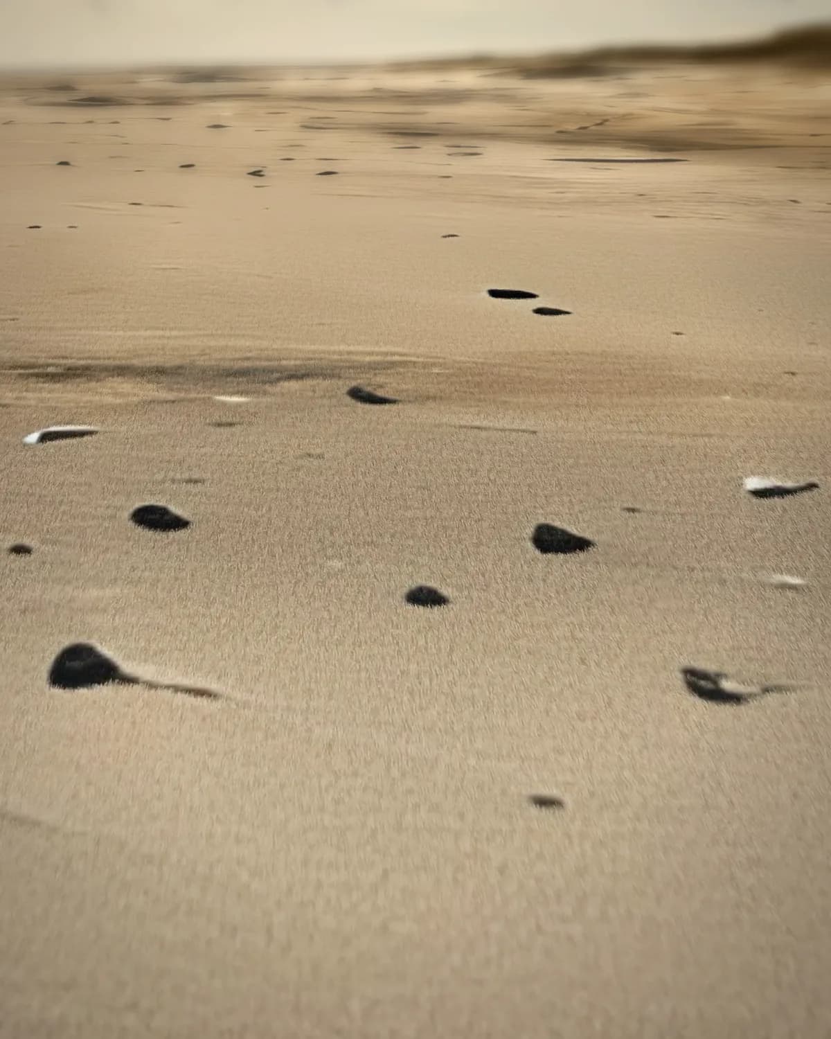 Astronaut op het Strand op geweven fluweel, uitsnede 1 van 3