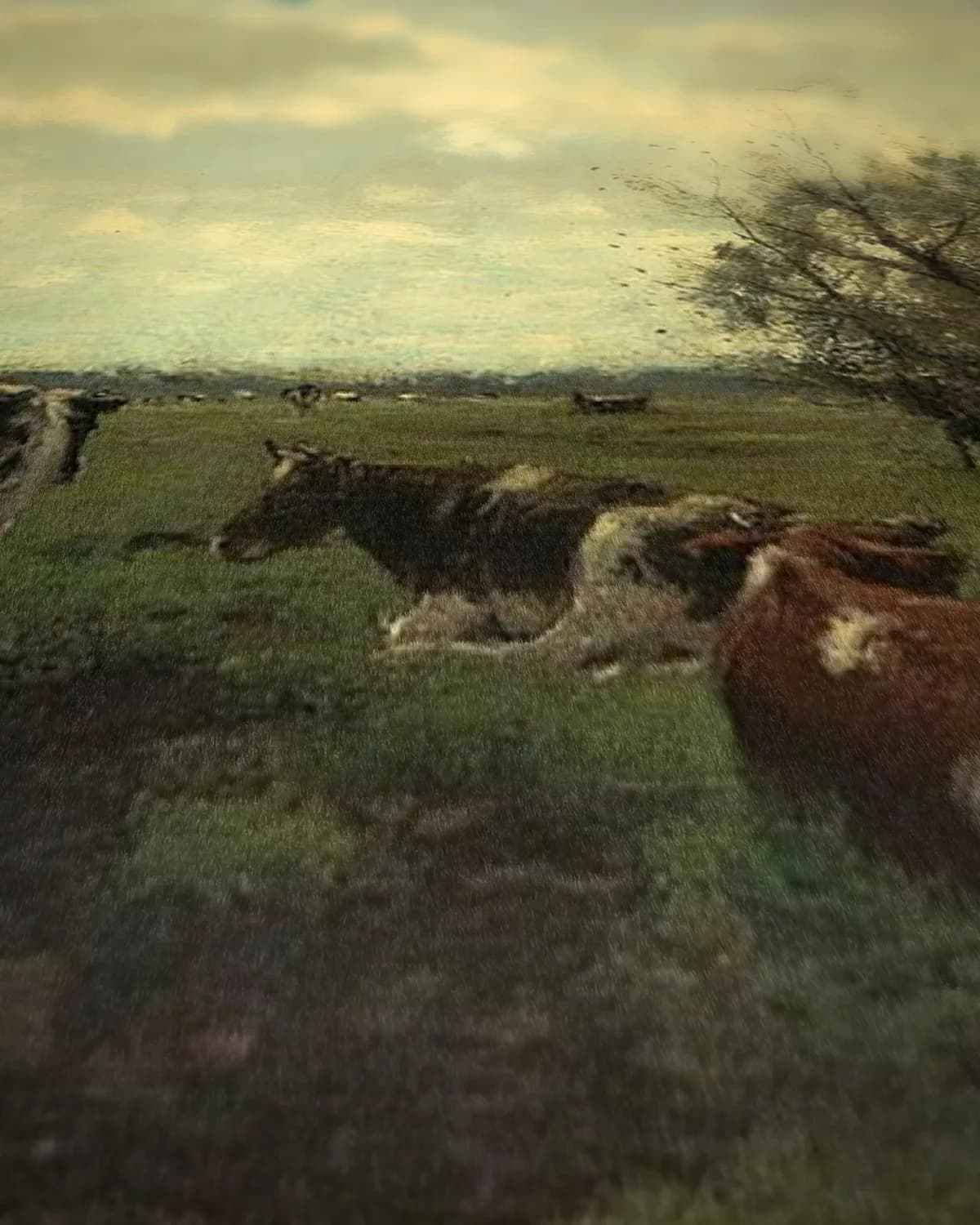 Begin oktober boven de polder op geweven fluweel, uitsnede 1 van 3