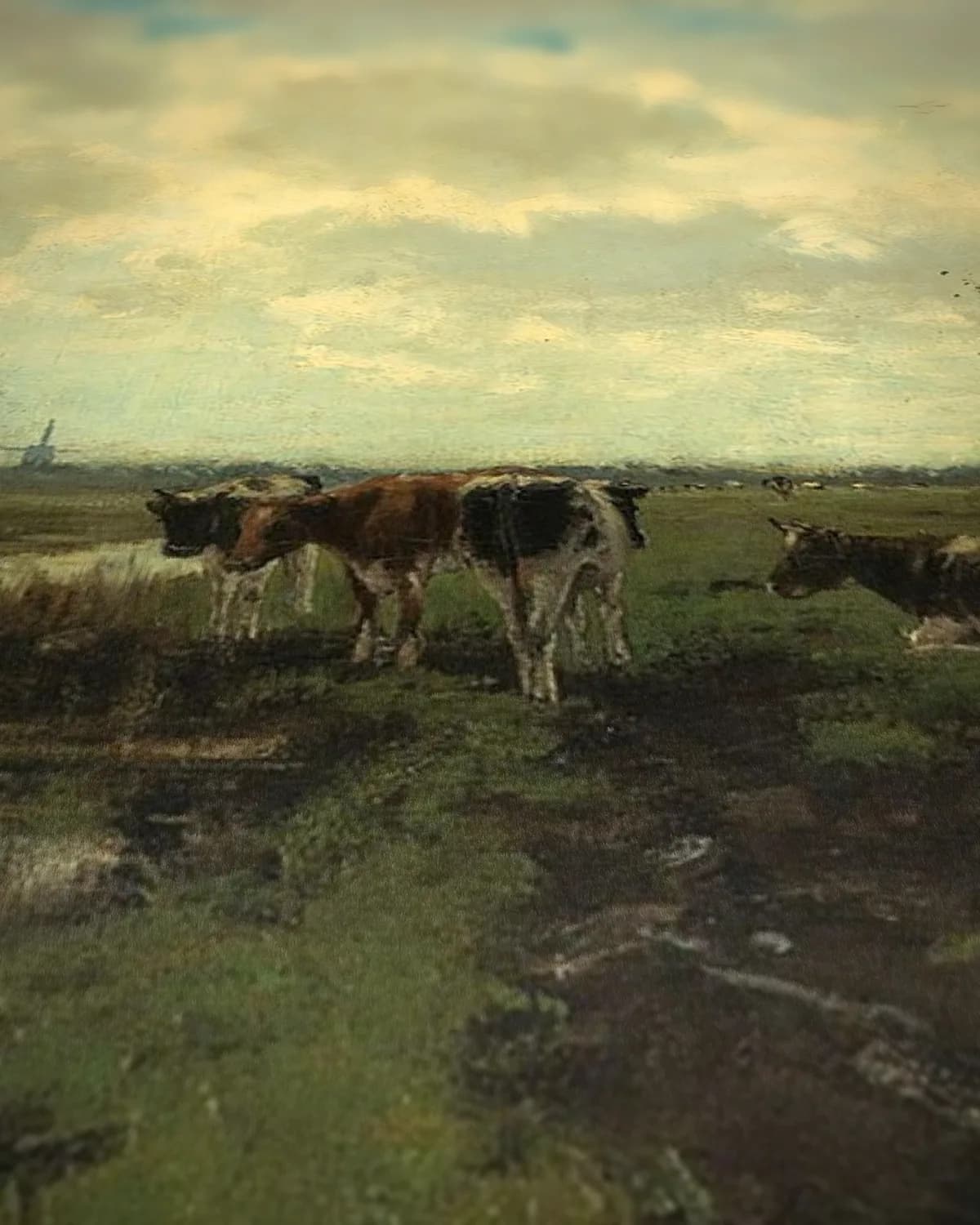 Begin oktober boven de polder op geweven fluweel, uitsnede 3 van 3