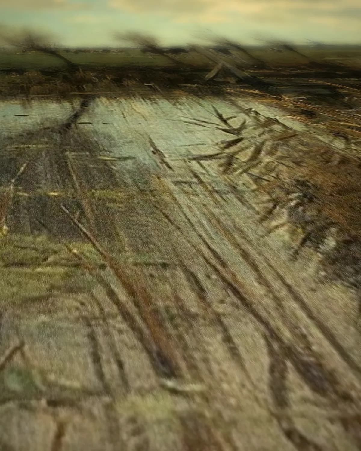 Begin oktober boven de polder op geweven fluweel, uitsnede 2 van 3