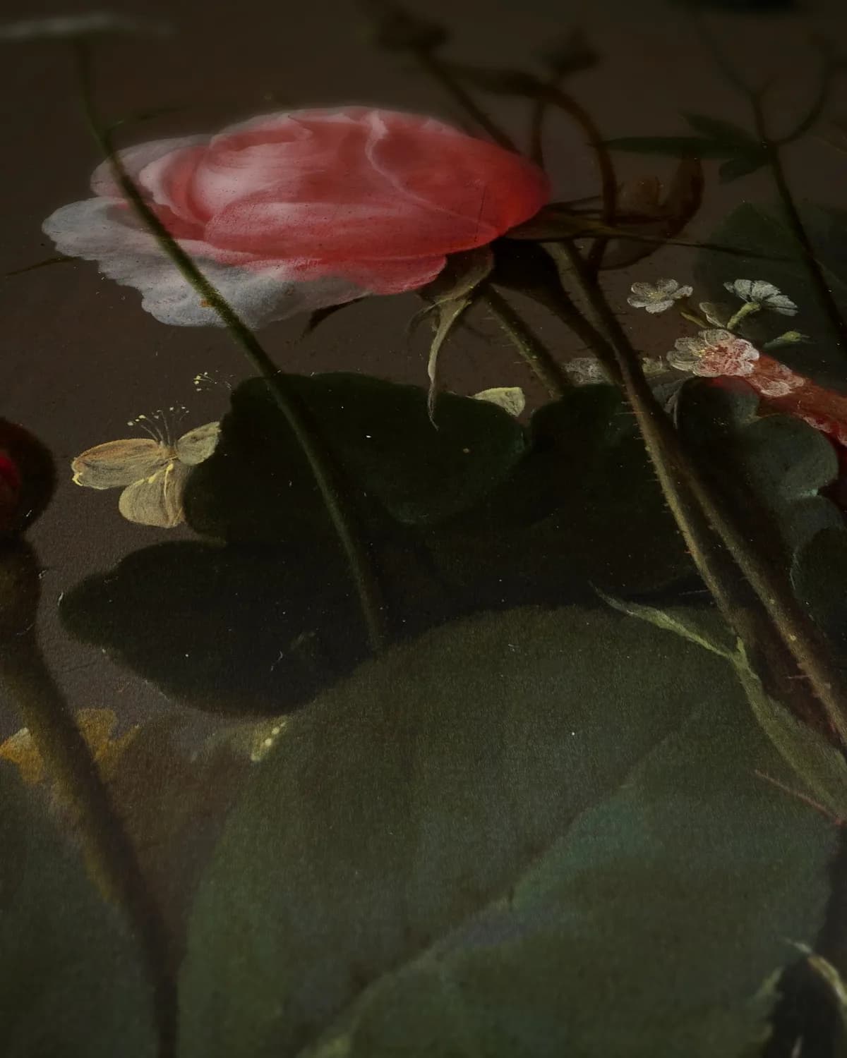 Bloemenstilleven in een glazen vaas op geweven fluweel, uitsnede 3 van 3