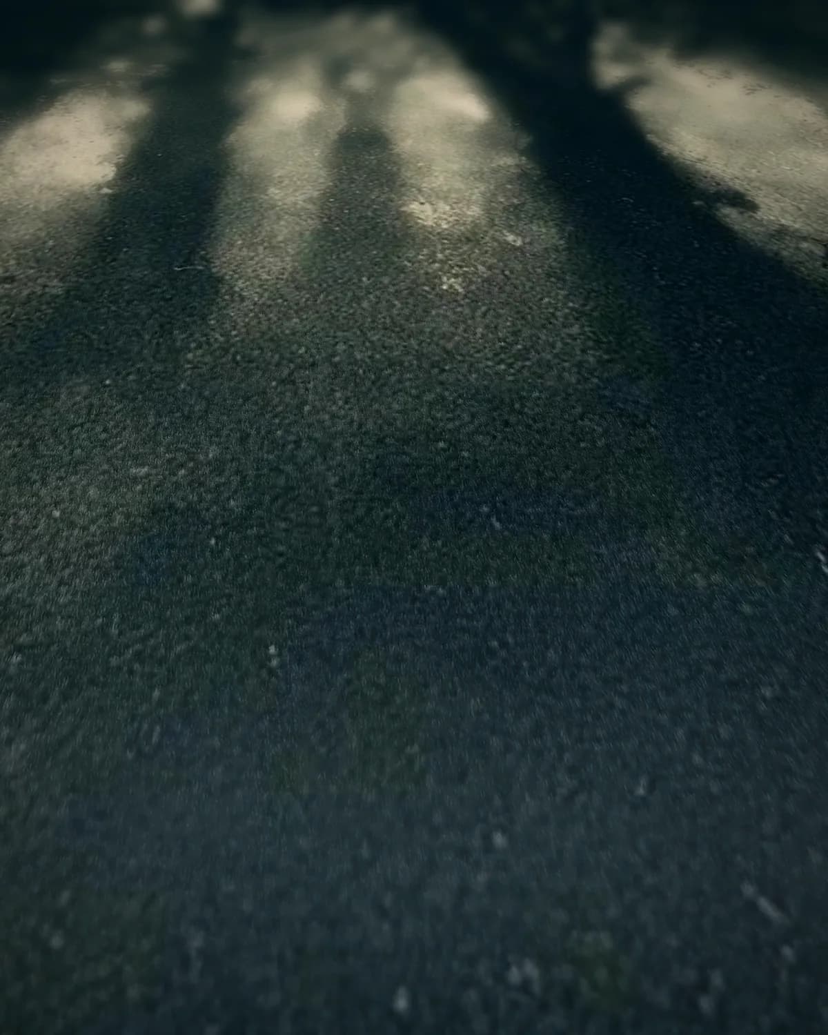 Bomen in de mist op geweven fluweel, uitsnede 1 van 3