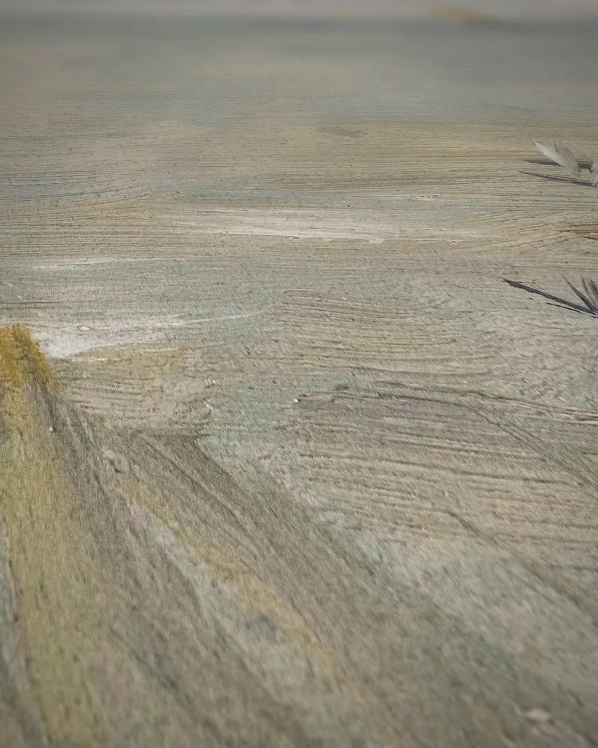 Breiend meisje op een duin op geweven fluweel, uitsnede 2 van 3
