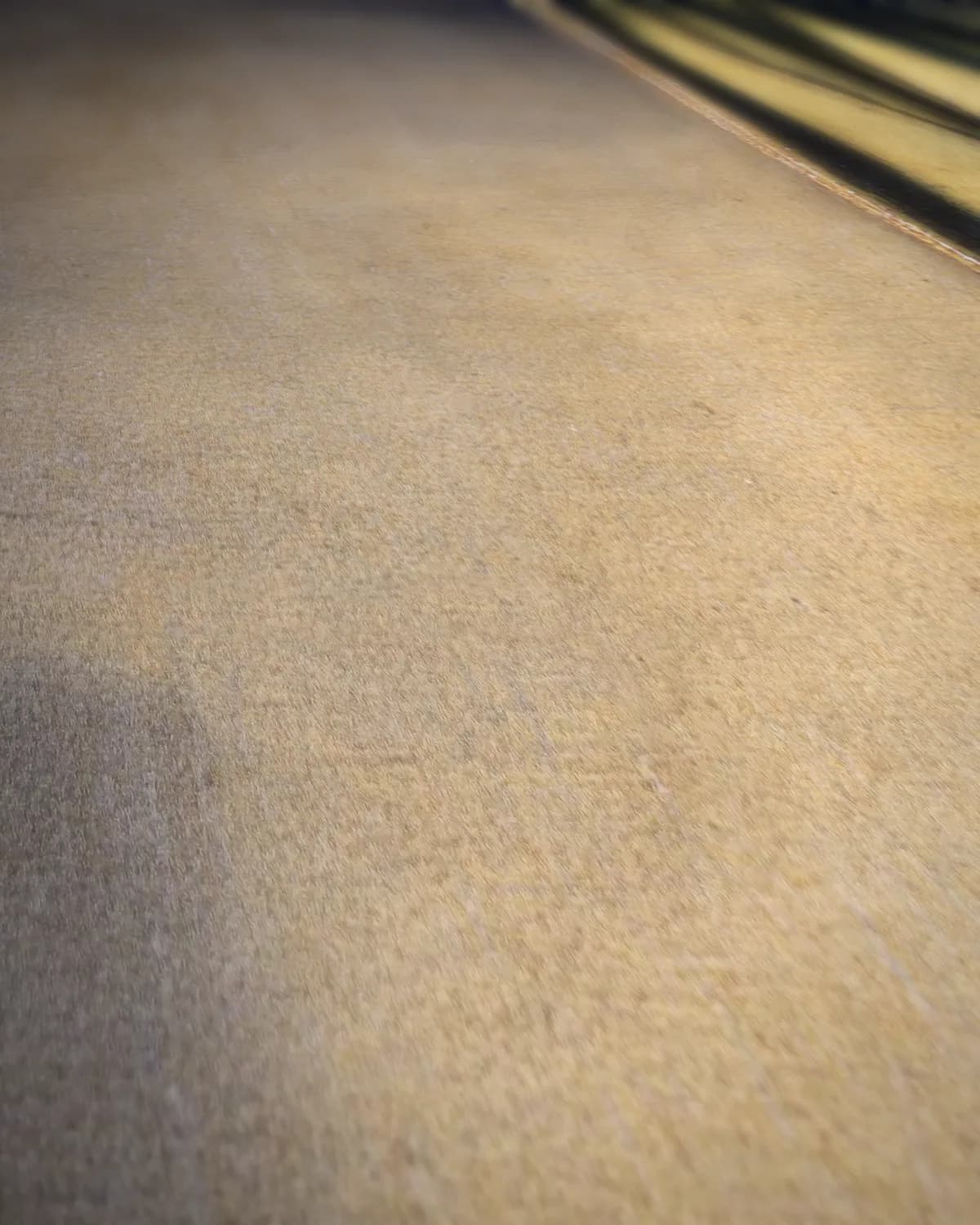 Brieflezend meisje bij het venster op geweven fluweel, uitsnede 2 van 3